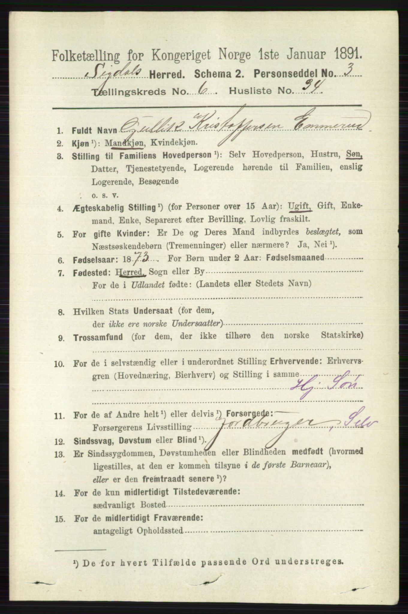 RA, Folketelling 1891 for 0621 Sigdal herred, 1891, s. 2610
