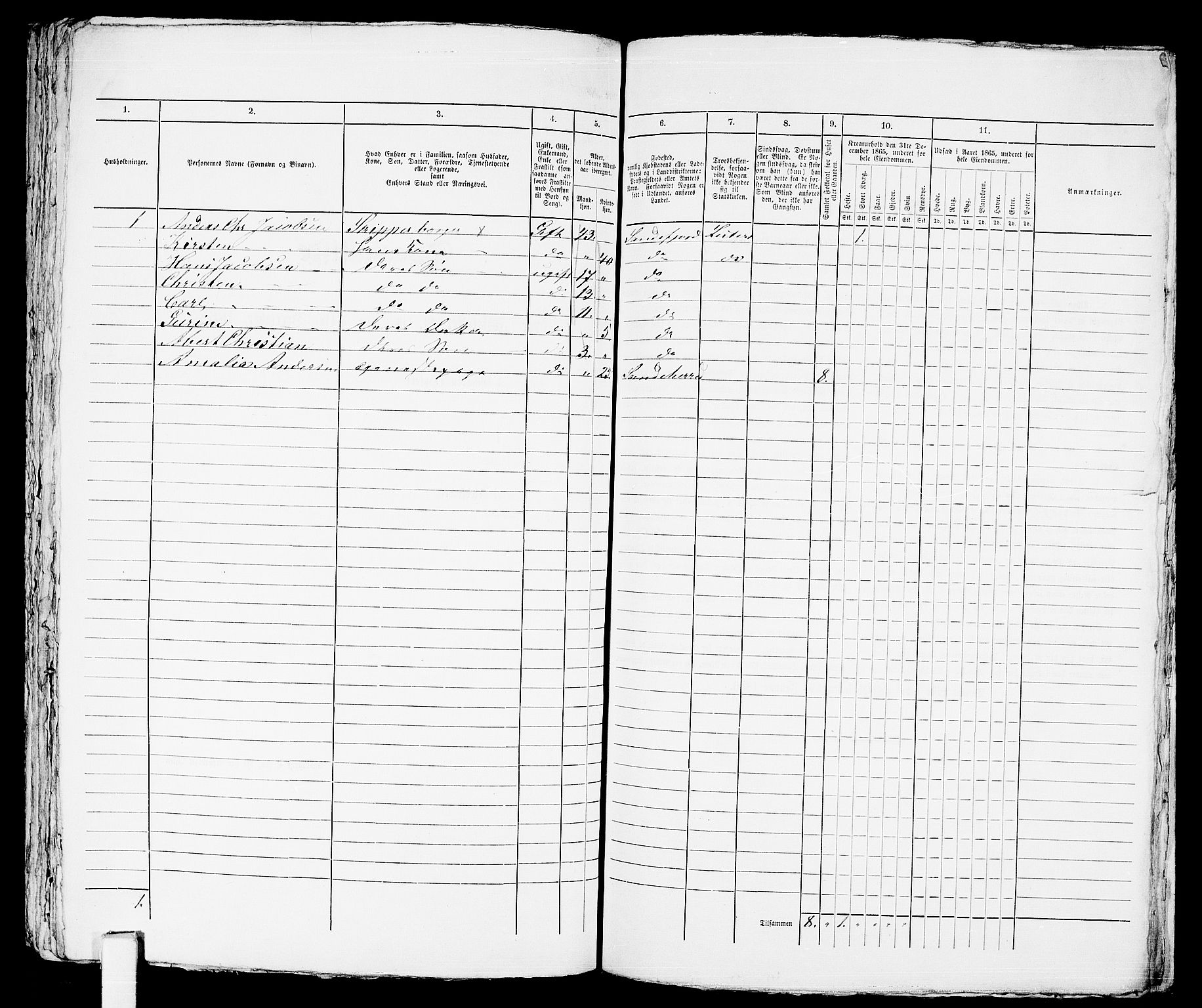 RA, Folketelling 1865 for 0706B Sandeherred prestegjeld, Sandefjord kjøpstad, 1865, s. 300