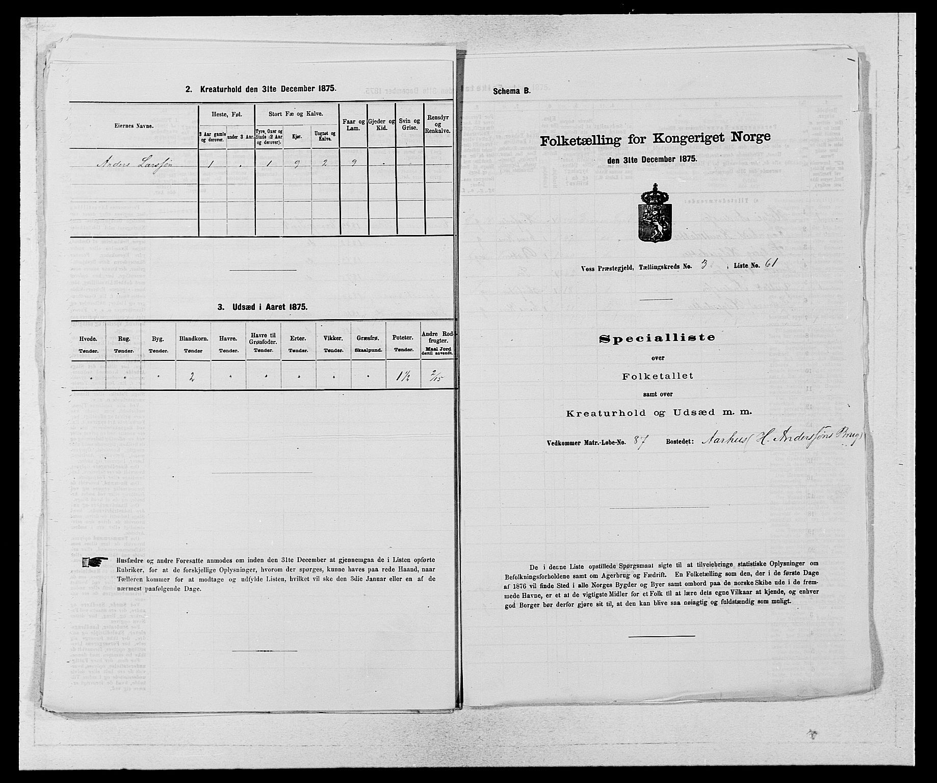 SAB, Folketelling 1875 for 1235P Voss prestegjeld, 1875, s. 1994