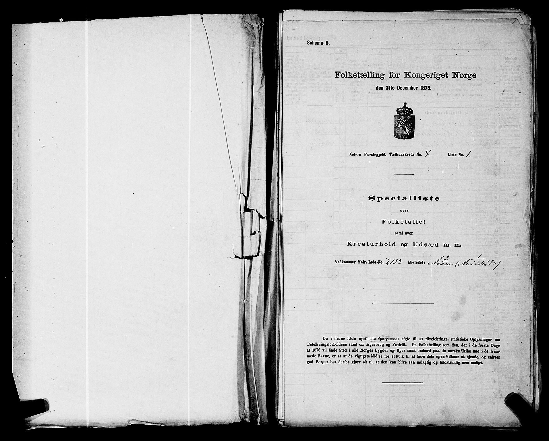 SAKO, Folketelling 1875 for 0722P Nøtterøy prestegjeld, 1875, s. 1335
