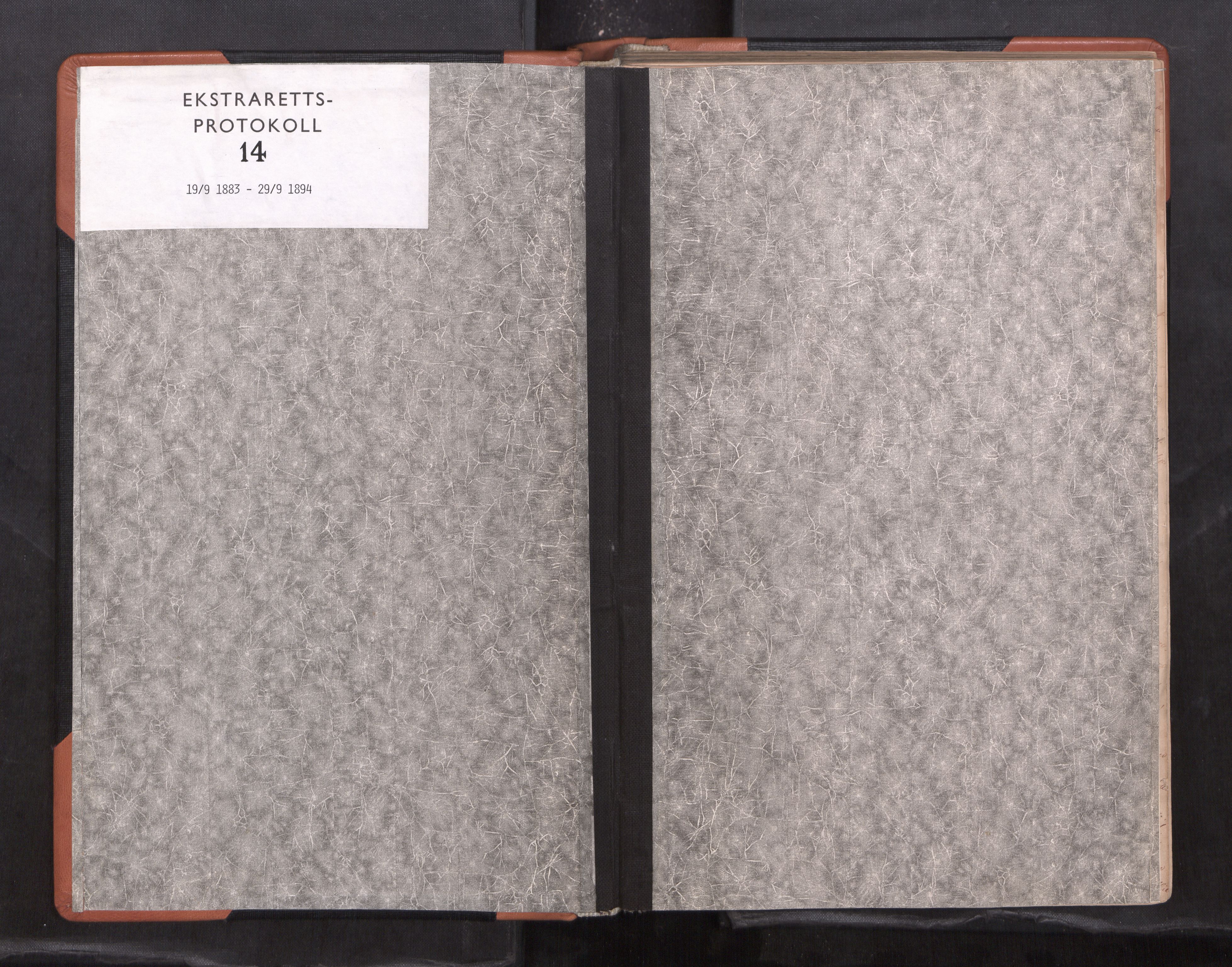Namdal sorenskriveri, SAT/A-4133/1/1/1B/L0016: Ekstrarettsprotokoll nr. 14, 1883-1894