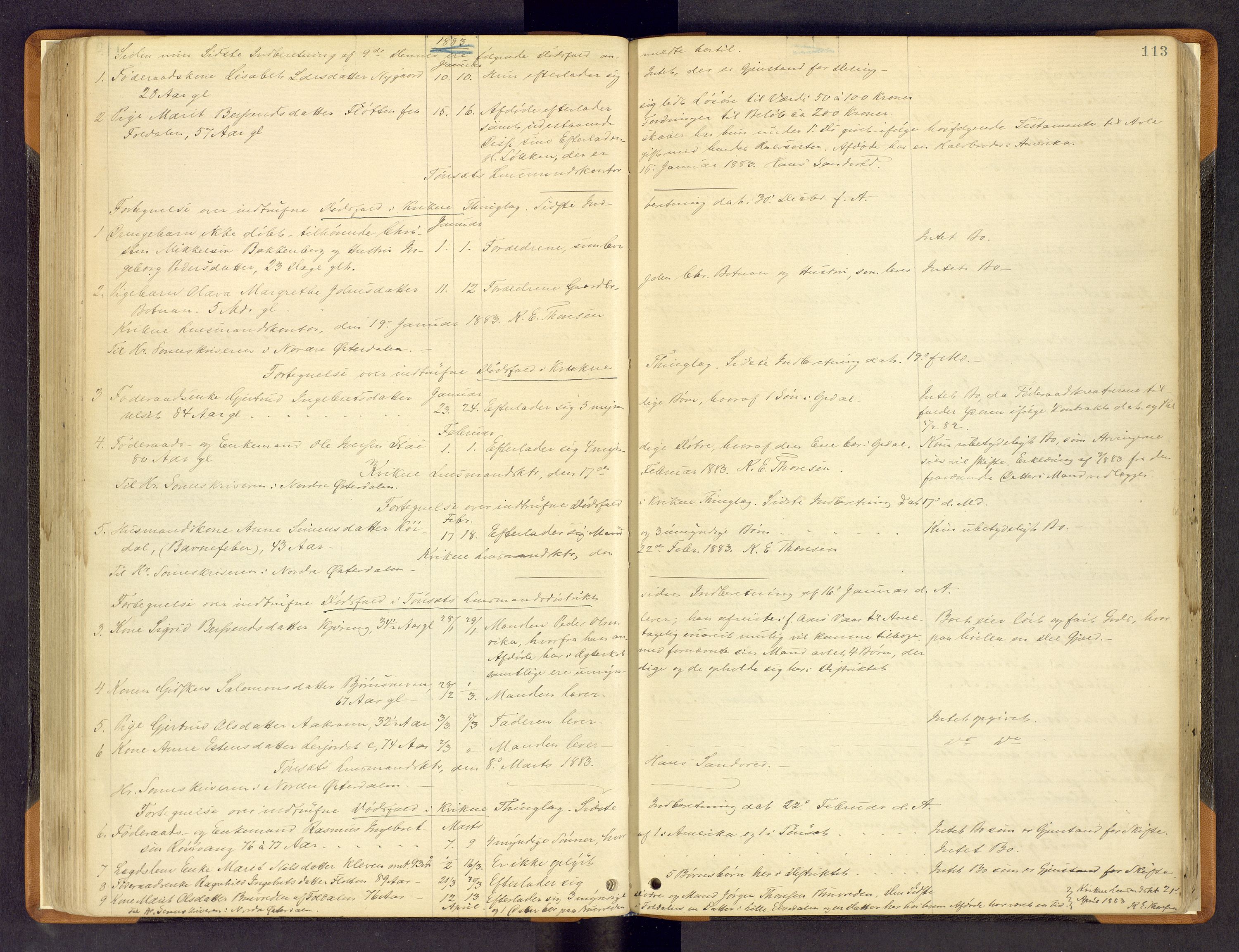 Nord-Østerdal tingrett, SAH/TING-020/H/Hi/L0002/0002: Forskjellig vedrørende tinglysing / Korrigering av grunnboka hvor hjemmelshaver mangler, er død m.v., 1875-1886, s. 113