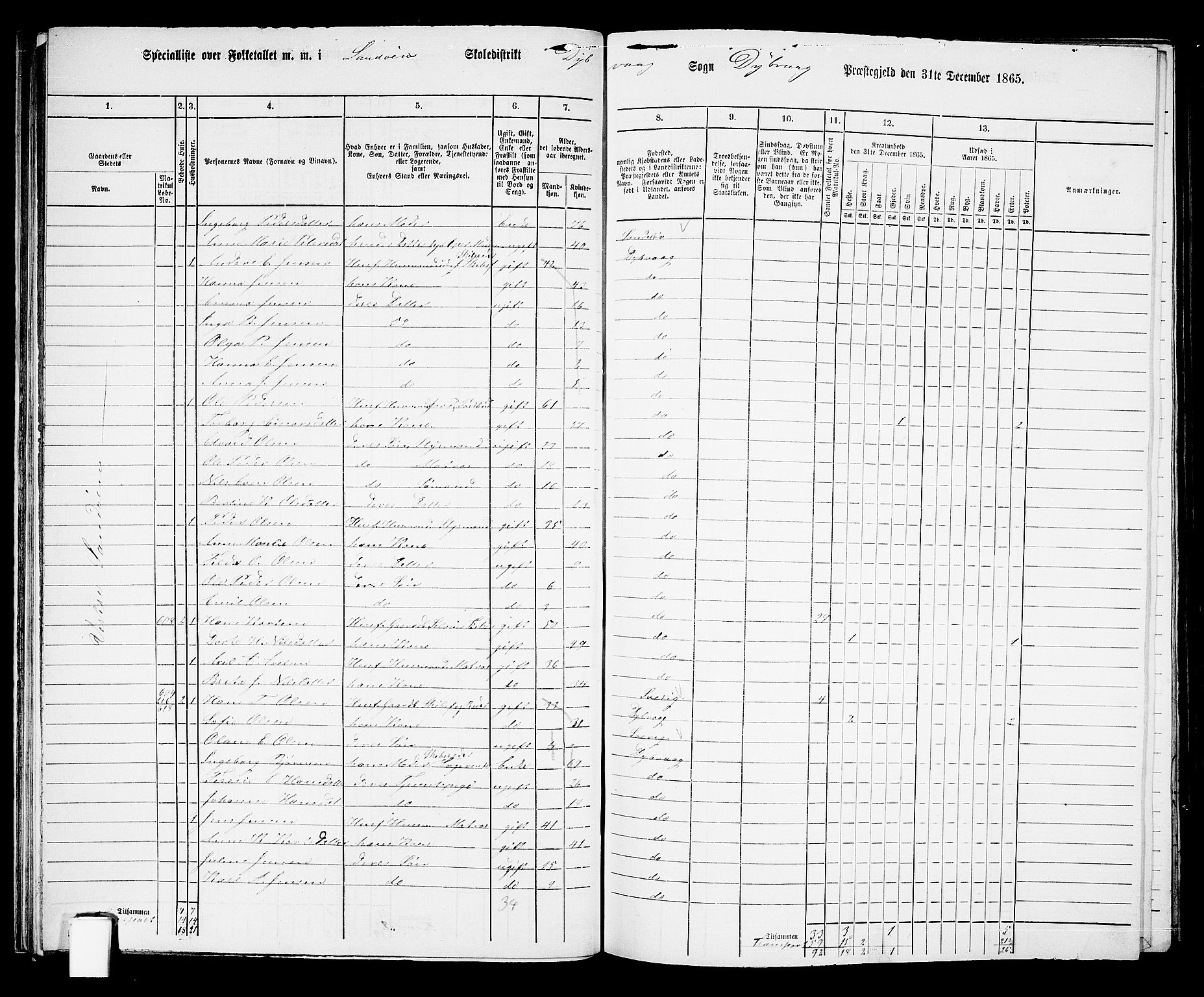 RA, Folketelling 1865 for 0915P Dypvåg prestegjeld, 1865, s. 34