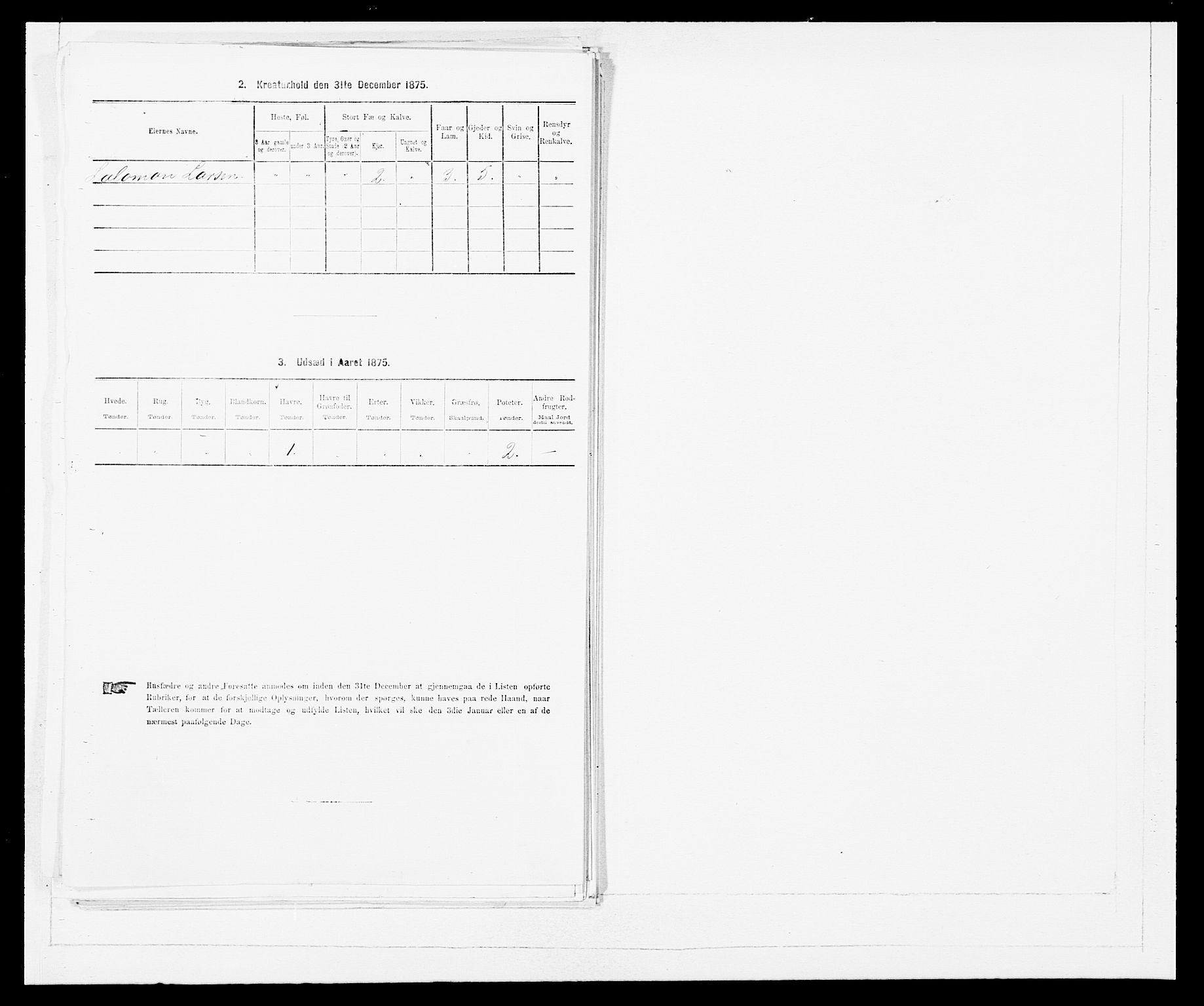 SAB, Folketelling 1875 for 1448P Stryn prestegjeld, 1875, s. 319