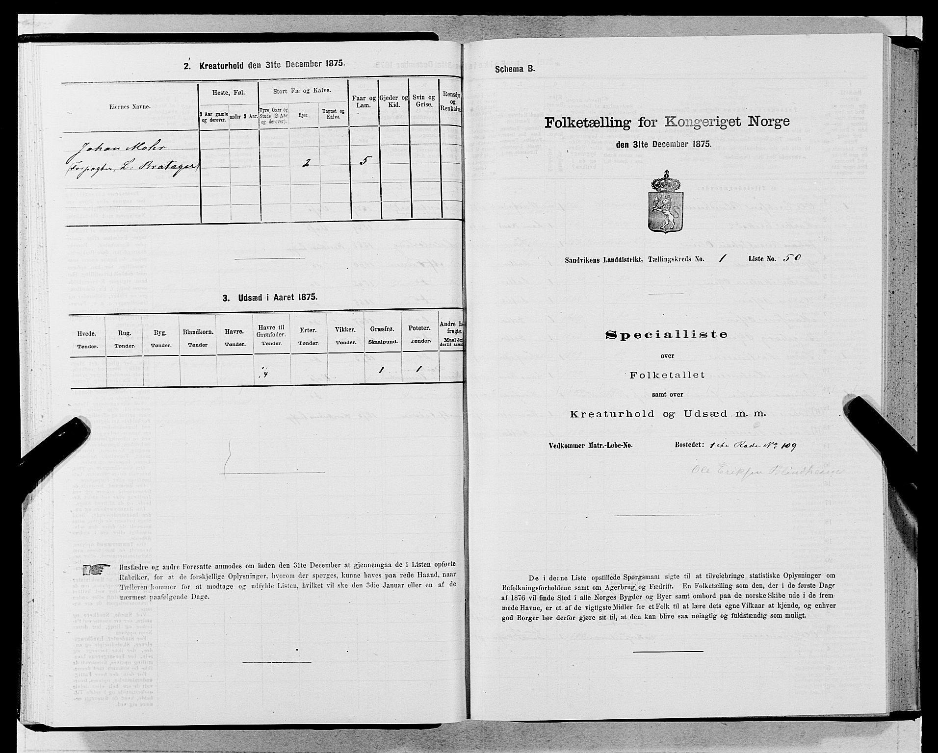 SAB, Folketelling 1875 for 1281L Bergen landdistrikt, Domkirkens landsokn og Sandvikens landsokn, 1875, s. 121