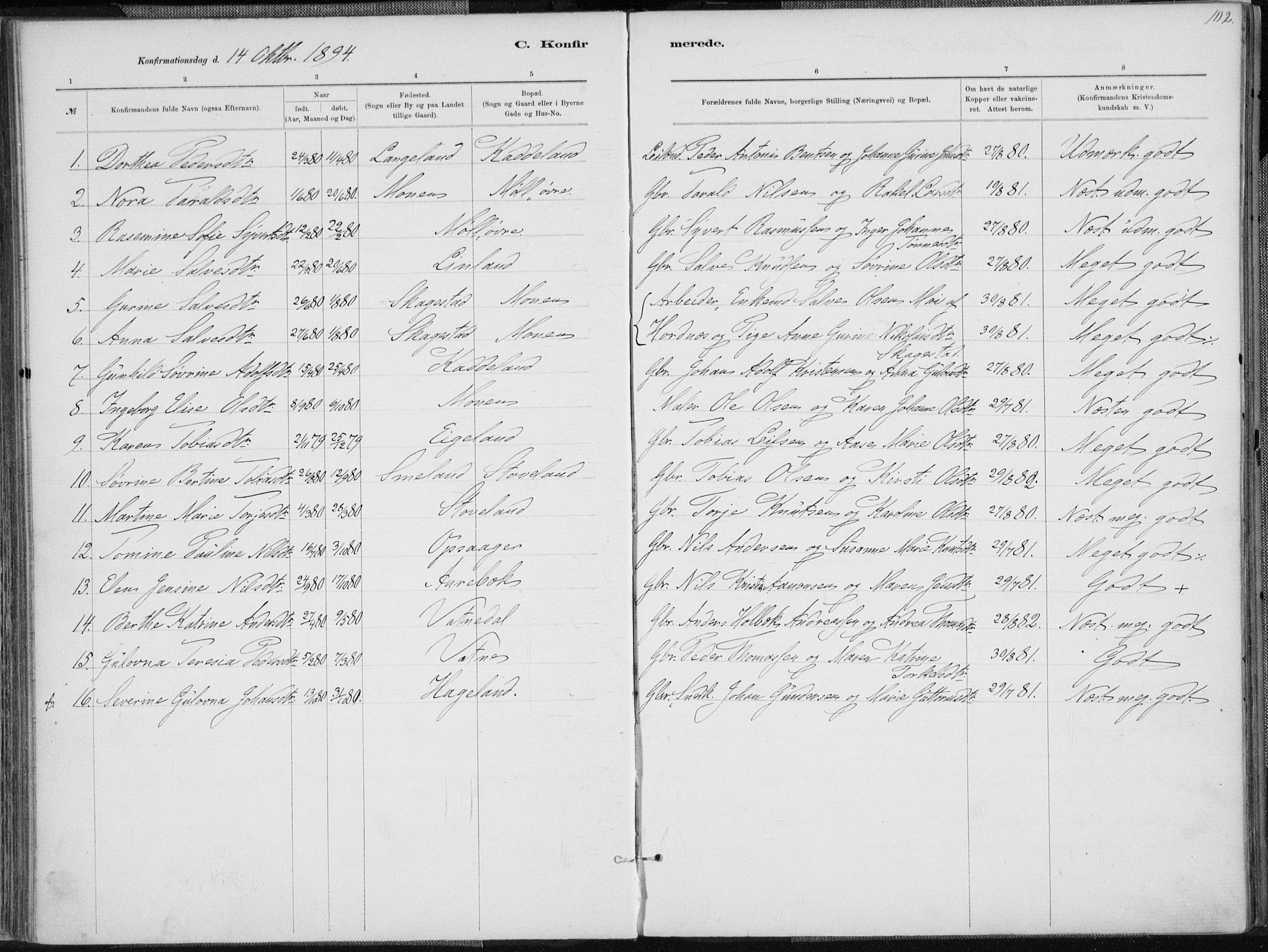Holum sokneprestkontor, AV/SAK-1111-0022/F/Fa/Faa/L0007: Ministerialbok nr. A 7, 1884-1907, s. 102
