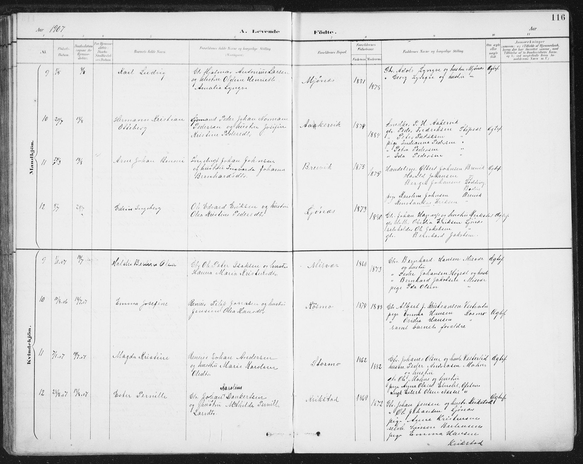 Ministerialprotokoller, klokkerbøker og fødselsregistre - Nordland, SAT/A-1459/852/L0741: Ministerialbok nr. 852A11, 1894-1917, s. 116