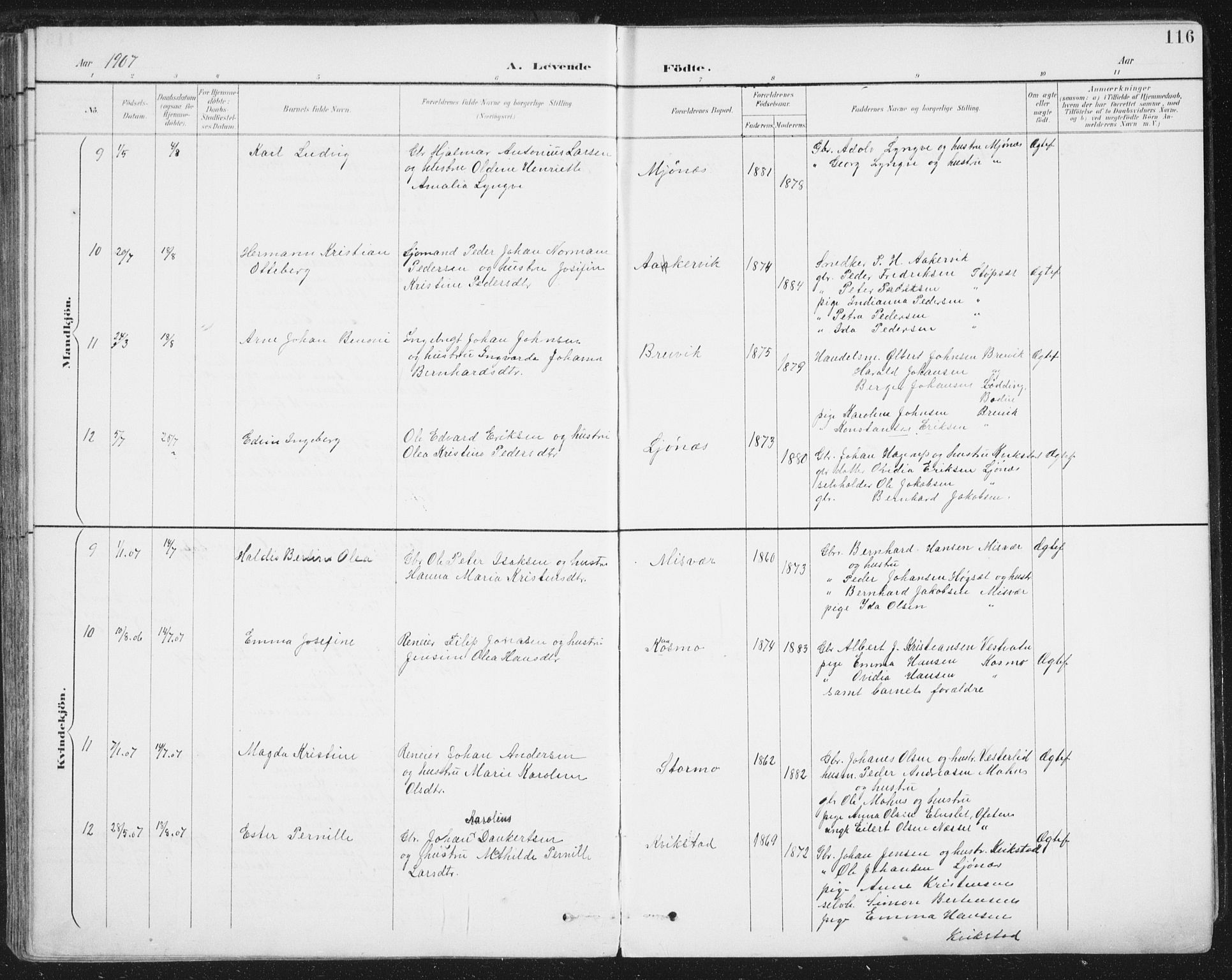 Ministerialprotokoller, klokkerbøker og fødselsregistre - Nordland, AV/SAT-A-1459/852/L0741: Ministerialbok nr. 852A11, 1894-1917, s. 116