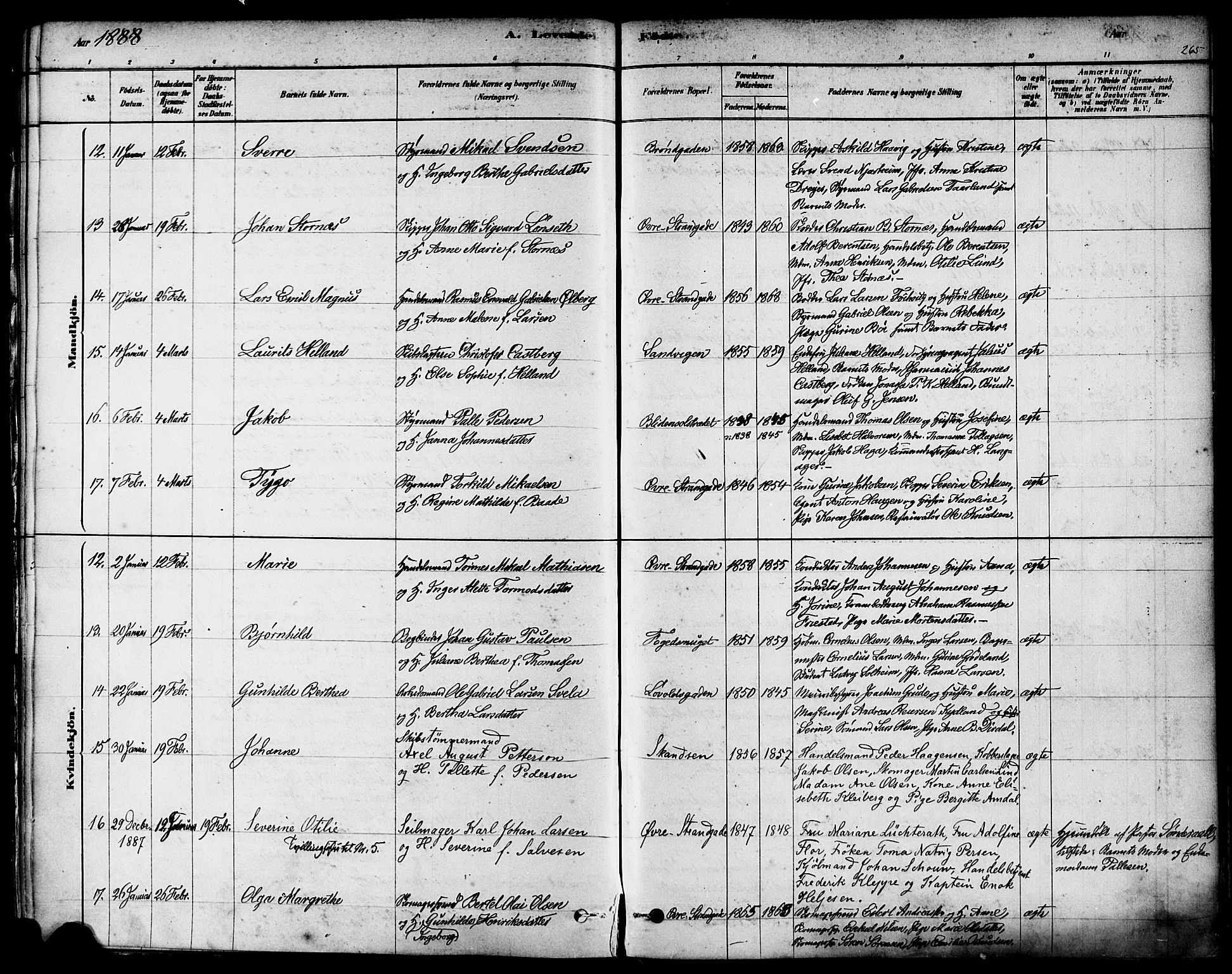 Domkirken sokneprestkontor, AV/SAST-A-101812/001/30/30BA/L0026: Ministerialbok nr. A 25, 1878-1889, s. 265