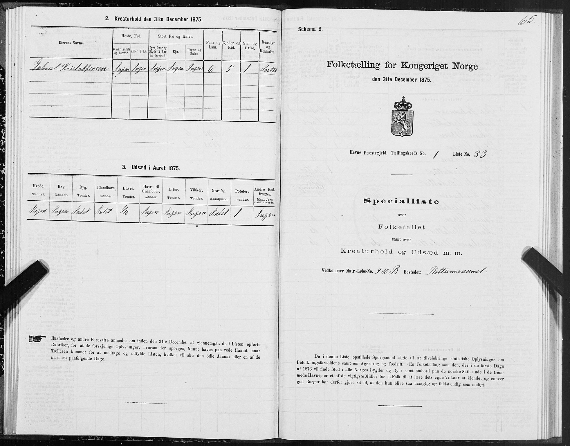 SAT, Folketelling 1875 for 1612P Hemne prestegjeld, 1875, s. 1065