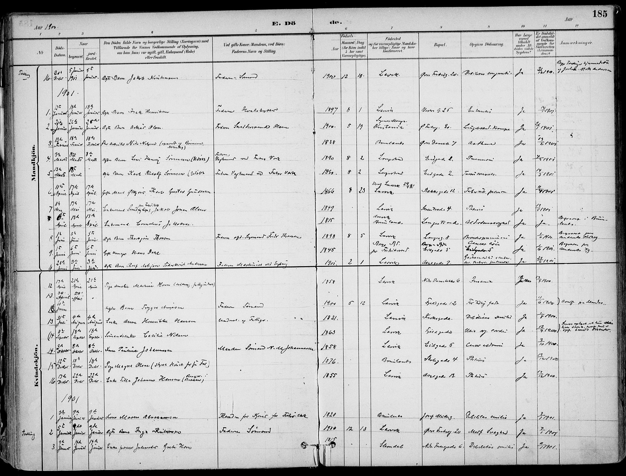 Larvik kirkebøker, AV/SAKO-A-352/F/Fb/L0004: Ministerialbok nr. II 4, 1884-1902, s. 185