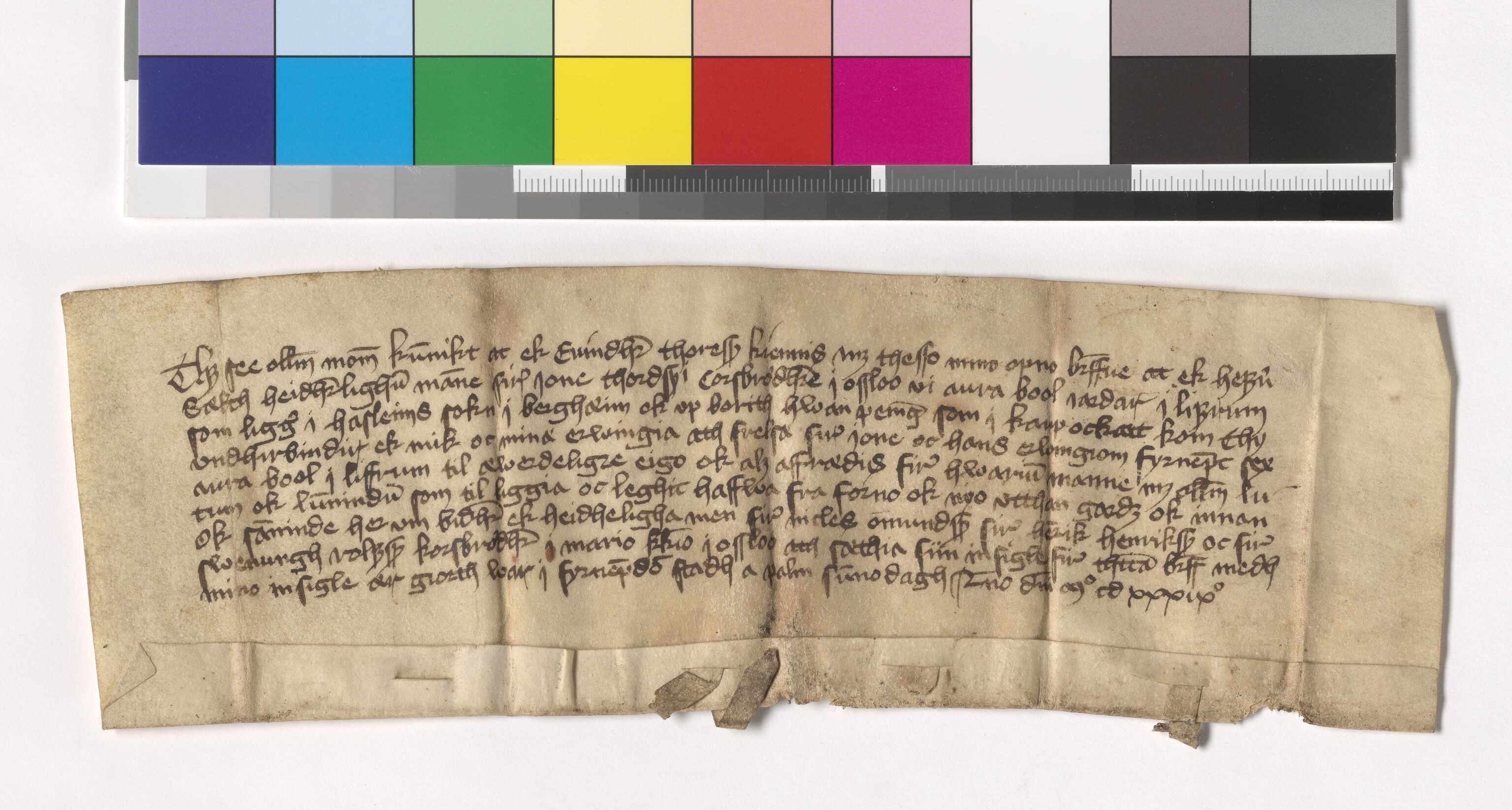 Riksarkivets diplomsamling, AV/RA-EA-5965/F05/L0218: NRA AM fasc. 90 nr. 14-26, 1439-1440, s. 5