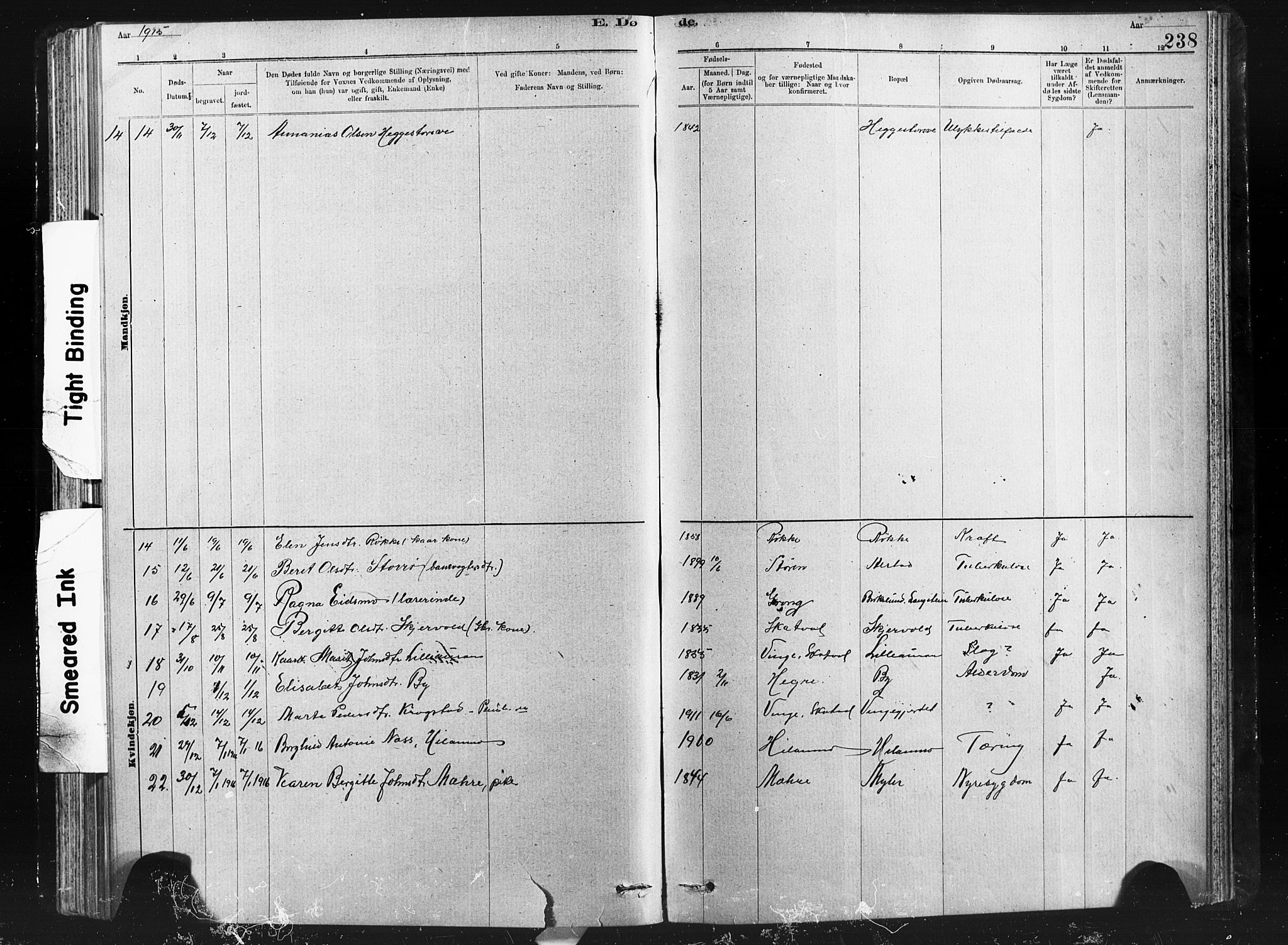 Ministerialprotokoller, klokkerbøker og fødselsregistre - Nord-Trøndelag, SAT/A-1458/712/L0103: Klokkerbok nr. 712C01, 1878-1917, s. 238
