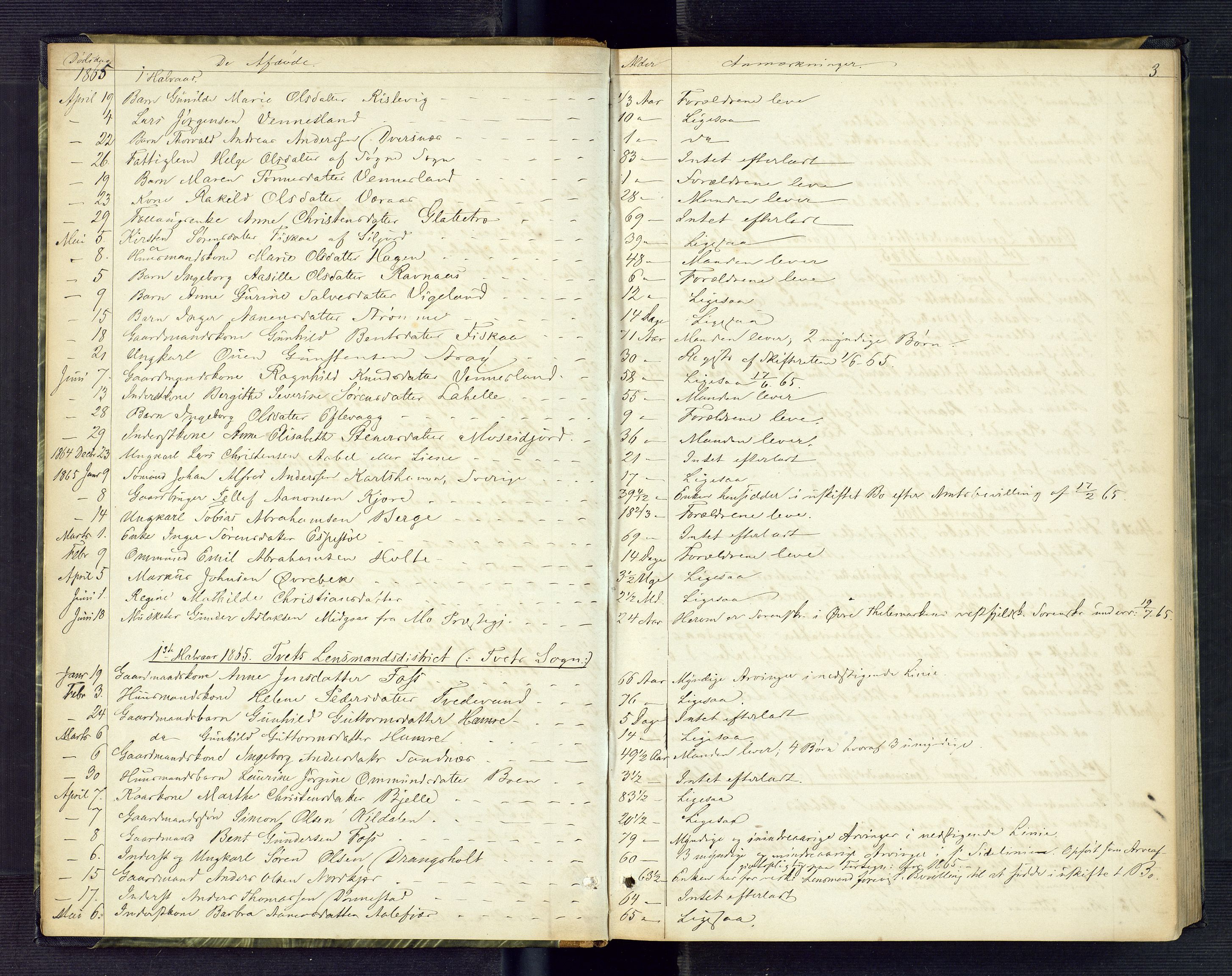 Torridal sorenskriveri, AV/SAK-1221-0012/H/Ha/L0001: Anmeldte dødsfall nr. 1, 1865-1880, s. 3
