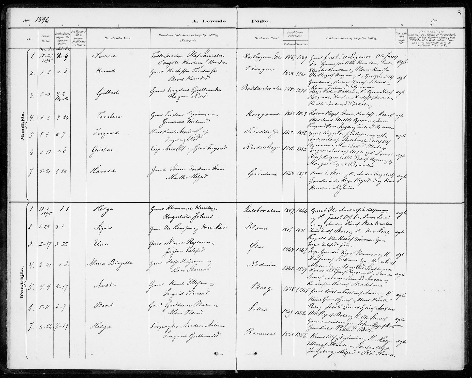 Sigdal kirkebøker, AV/SAKO-A-245/F/Fc/L0002: Ministerialbok nr. III 2, 1894-1911, s. 8