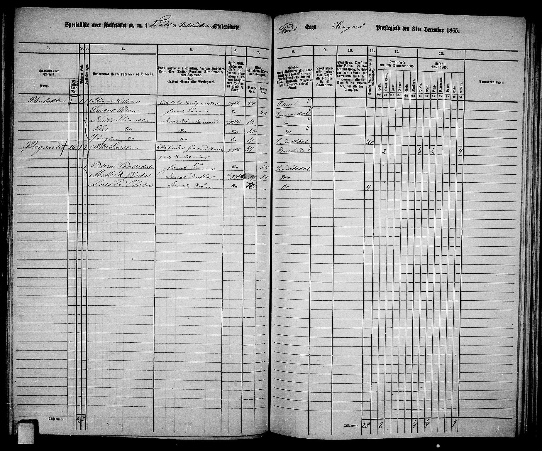 RA, Folketelling 1865 for 0816L Kragerø prestegjeld, Sannidal sokn og Skåtøy sokn, 1865, s. 145