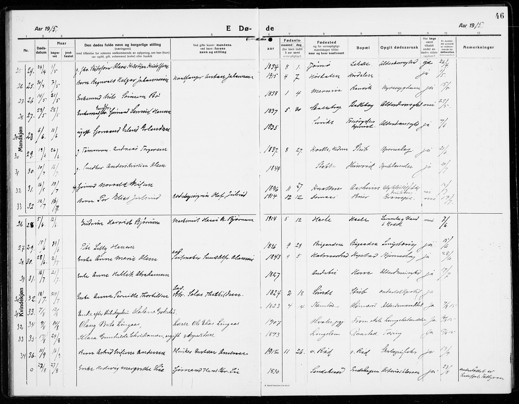 Sandar kirkebøker, AV/SAKO-A-243/F/Fa/L0020: Ministerialbok nr. 20, 1915-1919, s. 46