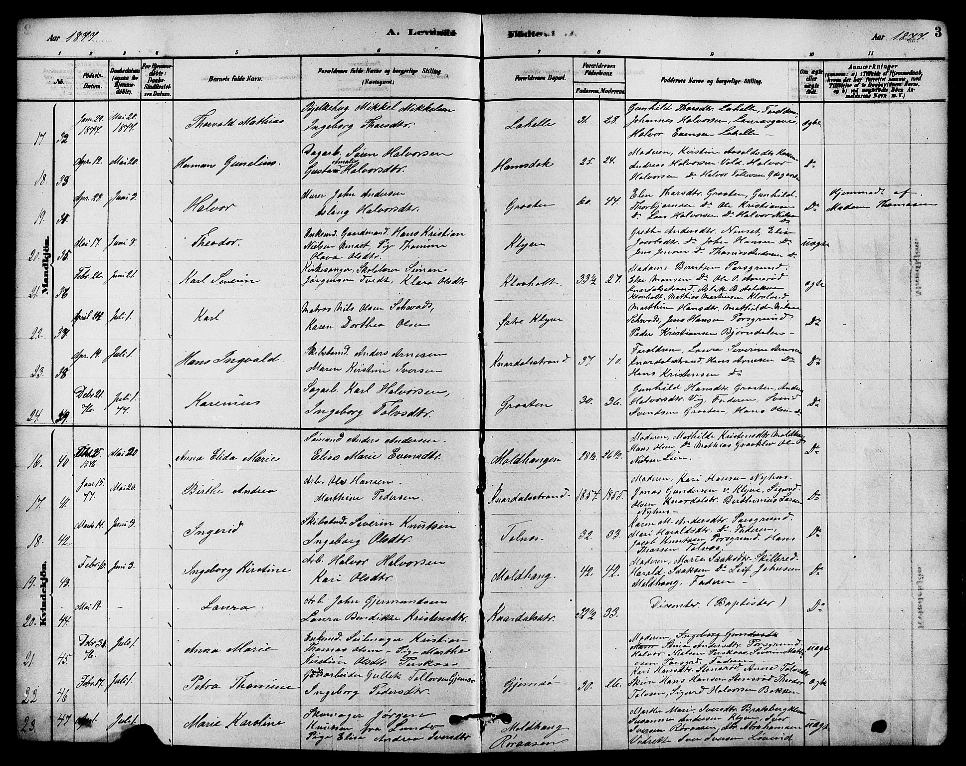 Solum kirkebøker, AV/SAKO-A-306/F/Fa/L0009: Ministerialbok nr. I 9, 1877-1887, s. 3