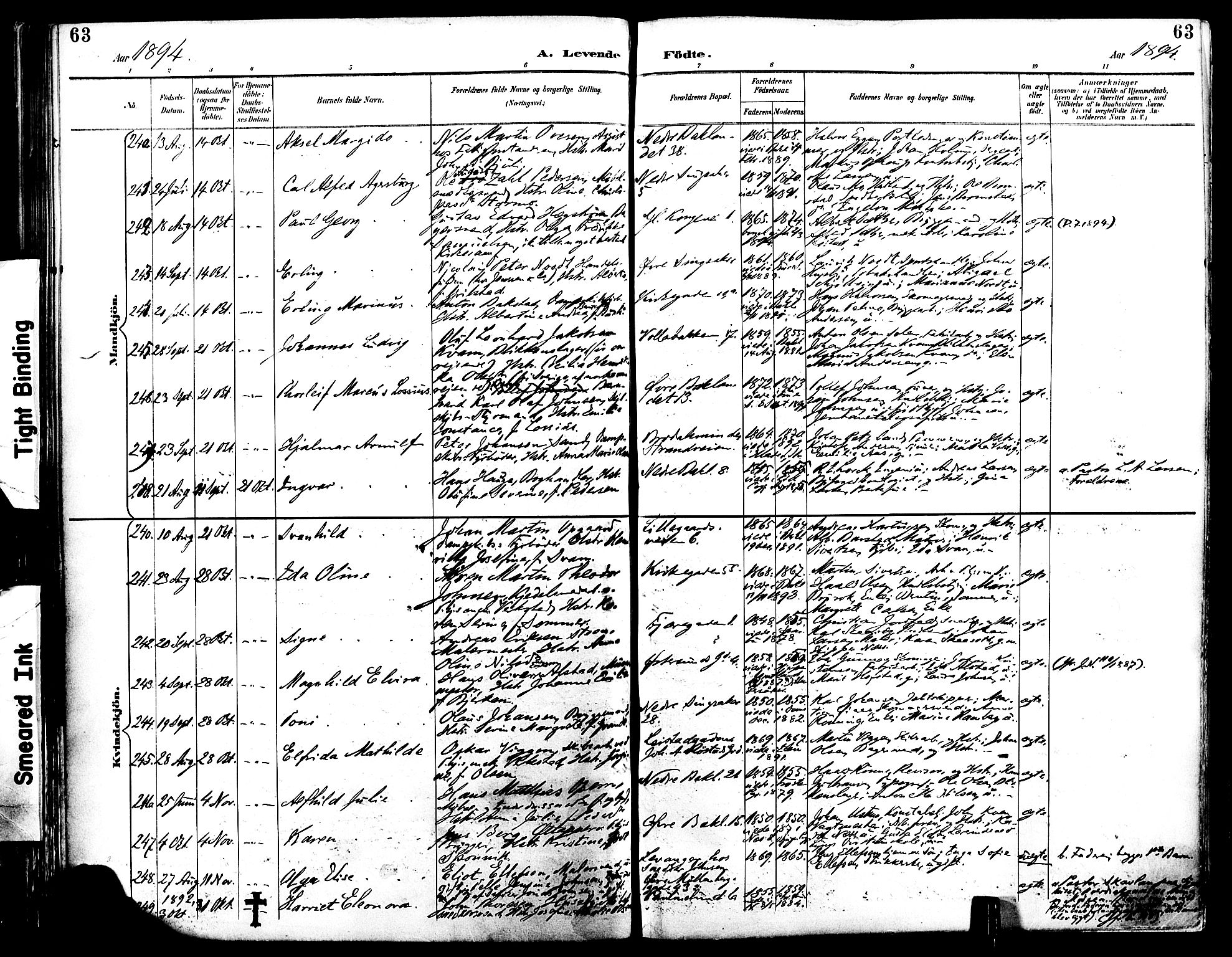 Ministerialprotokoller, klokkerbøker og fødselsregistre - Sør-Trøndelag, AV/SAT-A-1456/604/L0197: Ministerialbok nr. 604A18, 1893-1900, s. 63