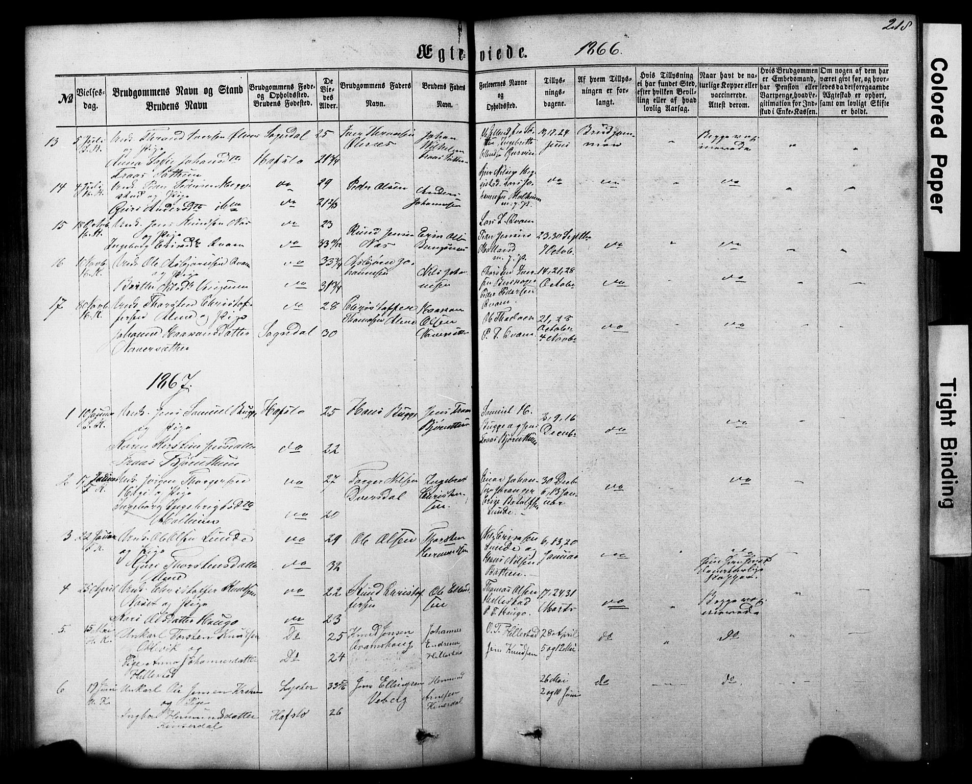 Hafslo sokneprestembete, AV/SAB-A-80301/H/Hab/Haba/L0001: Klokkerbok nr. A 1, 1866-1908, s. 218