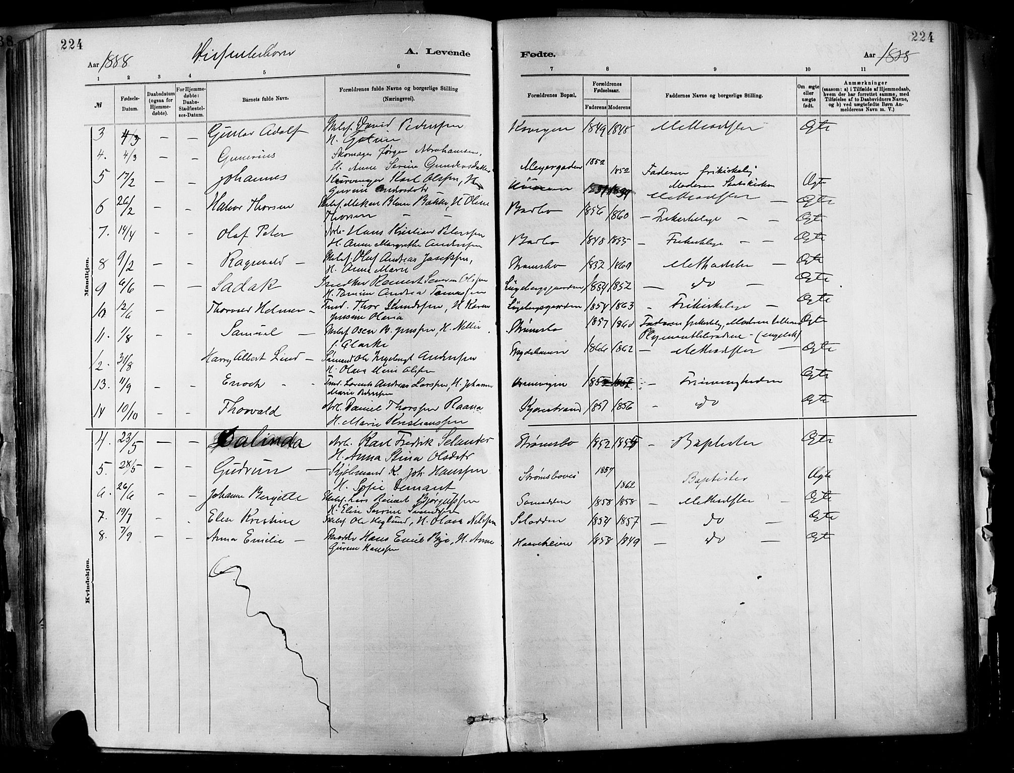 Barbu sokneprestkontor, AV/SAK-1111-0003/F/Fa/L0002: Ministerialbok nr. A 2, 1883-1898, s. 224