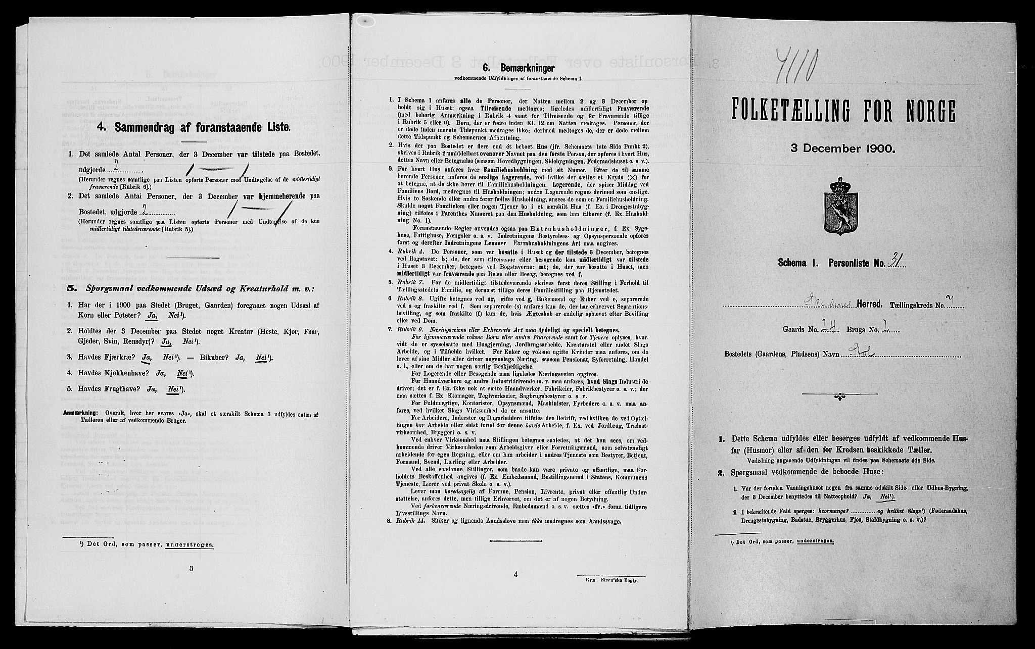 SAST, Folketelling 1900 for 1150 Skudenes herred, 1900, s. 1005
