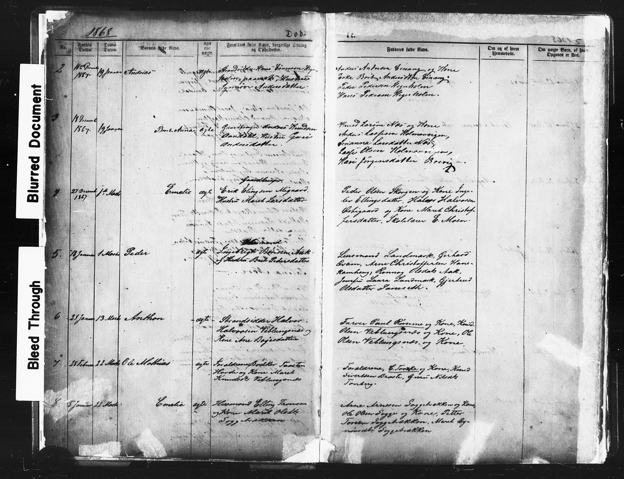 Ministerialprotokoller, klokkerbøker og fødselsregistre - Møre og Romsdal, AV/SAT-A-1454/544/L0580: Klokkerbok nr. 544C02, 1867-1909, s. 5