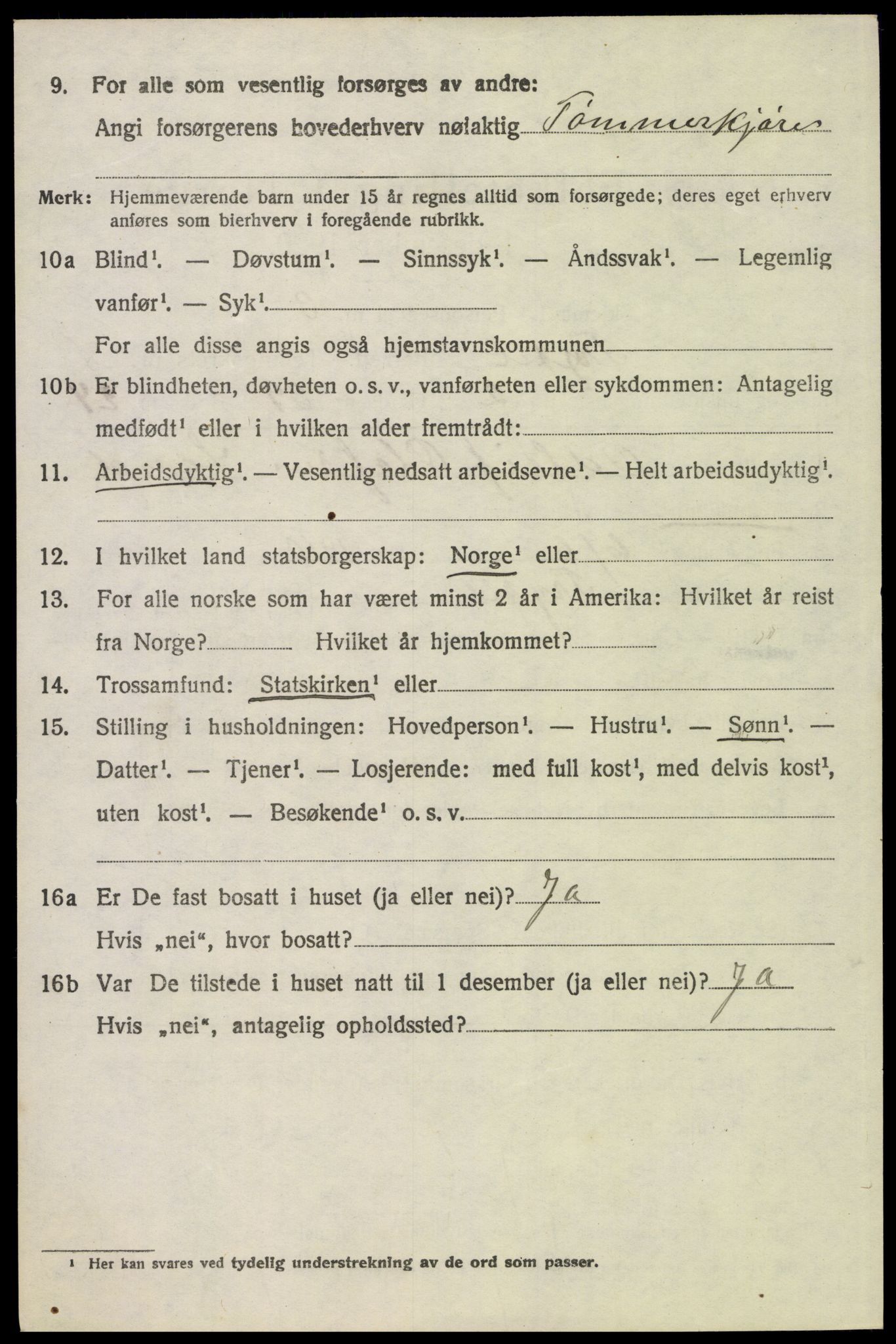 SAH, Folketelling 1920 for 0428 Trysil herred, 1920, s. 6238