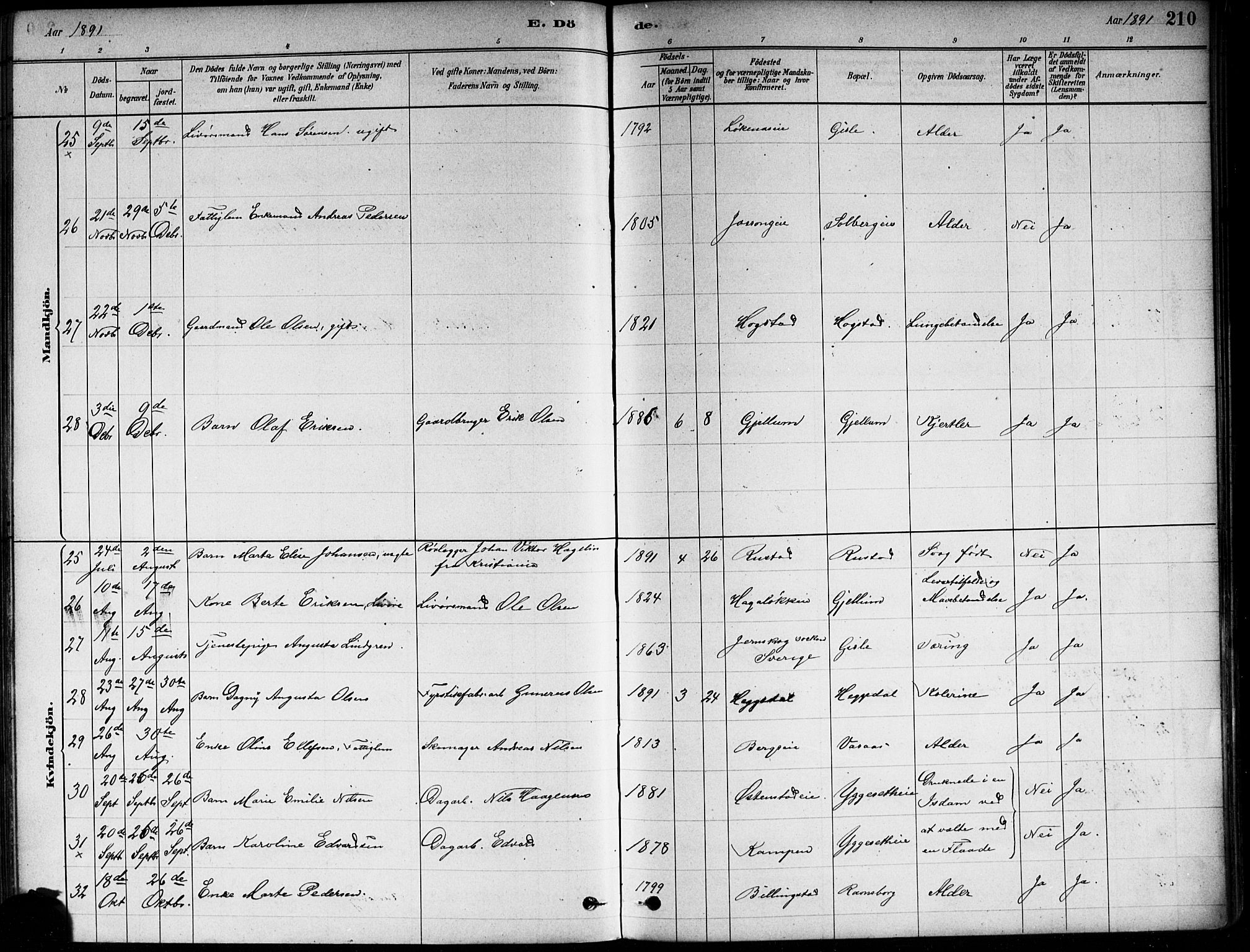 Asker prestekontor Kirkebøker, SAO/A-10256a/F/Fa/L0013: Ministerialbok nr. I 13, 1879-1896, s. 210