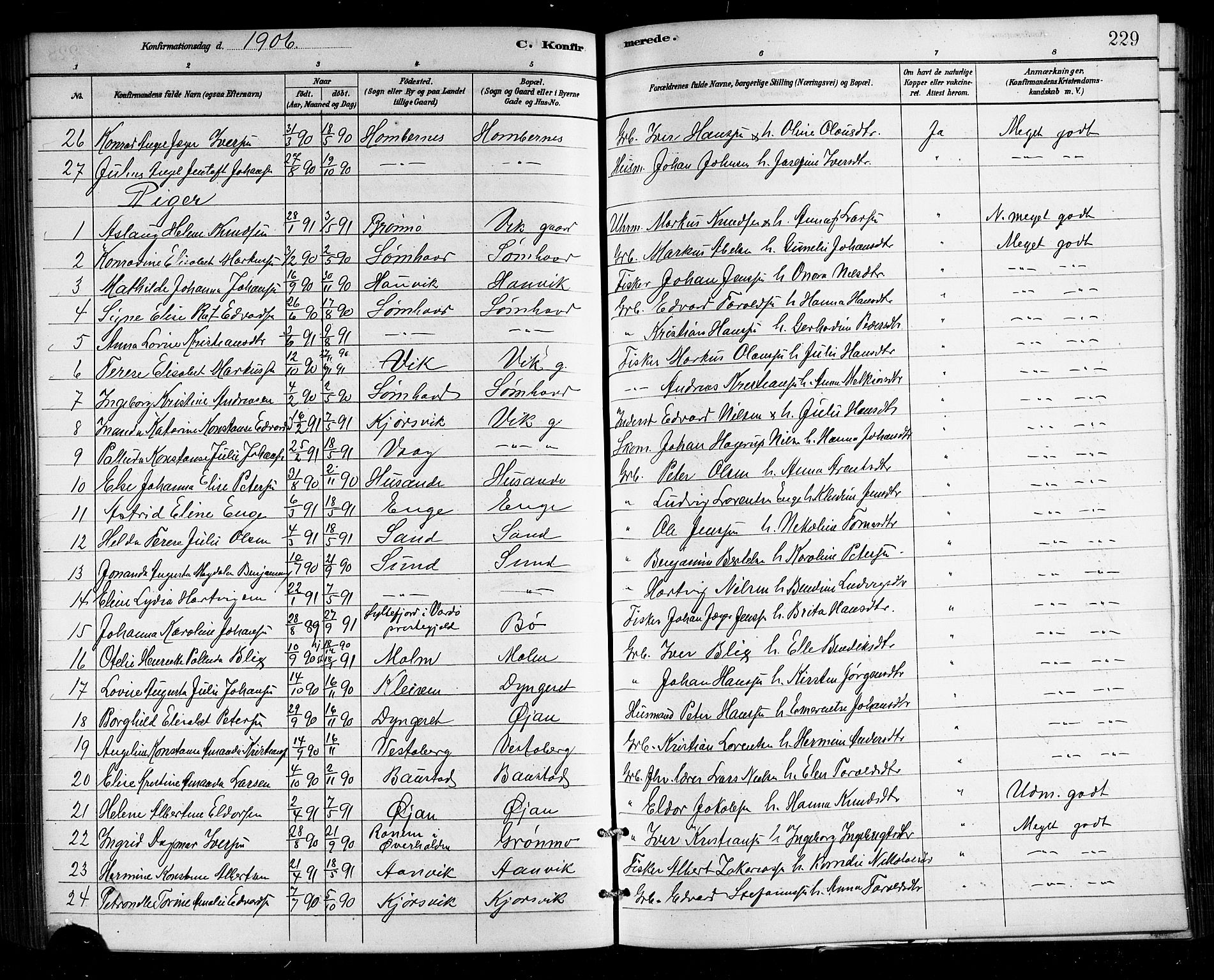 Ministerialprotokoller, klokkerbøker og fødselsregistre - Nordland, AV/SAT-A-1459/812/L0188: Klokkerbok nr. 812C06, 1884-1912, s. 229