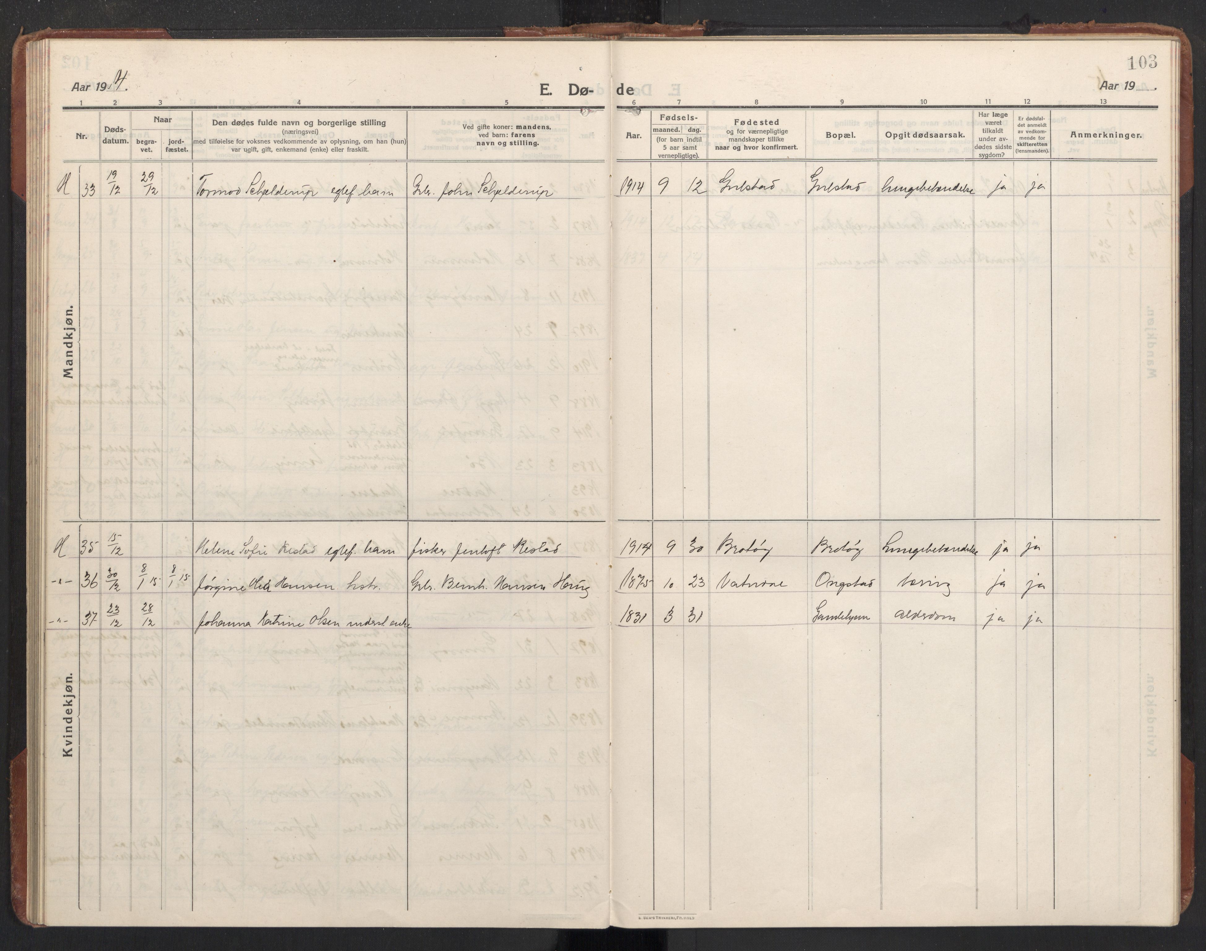 Ministerialprotokoller, klokkerbøker og fødselsregistre - Nordland, AV/SAT-A-1459/888/L1269: Klokkerbok nr. 888C11, 1913-1937, s. 103