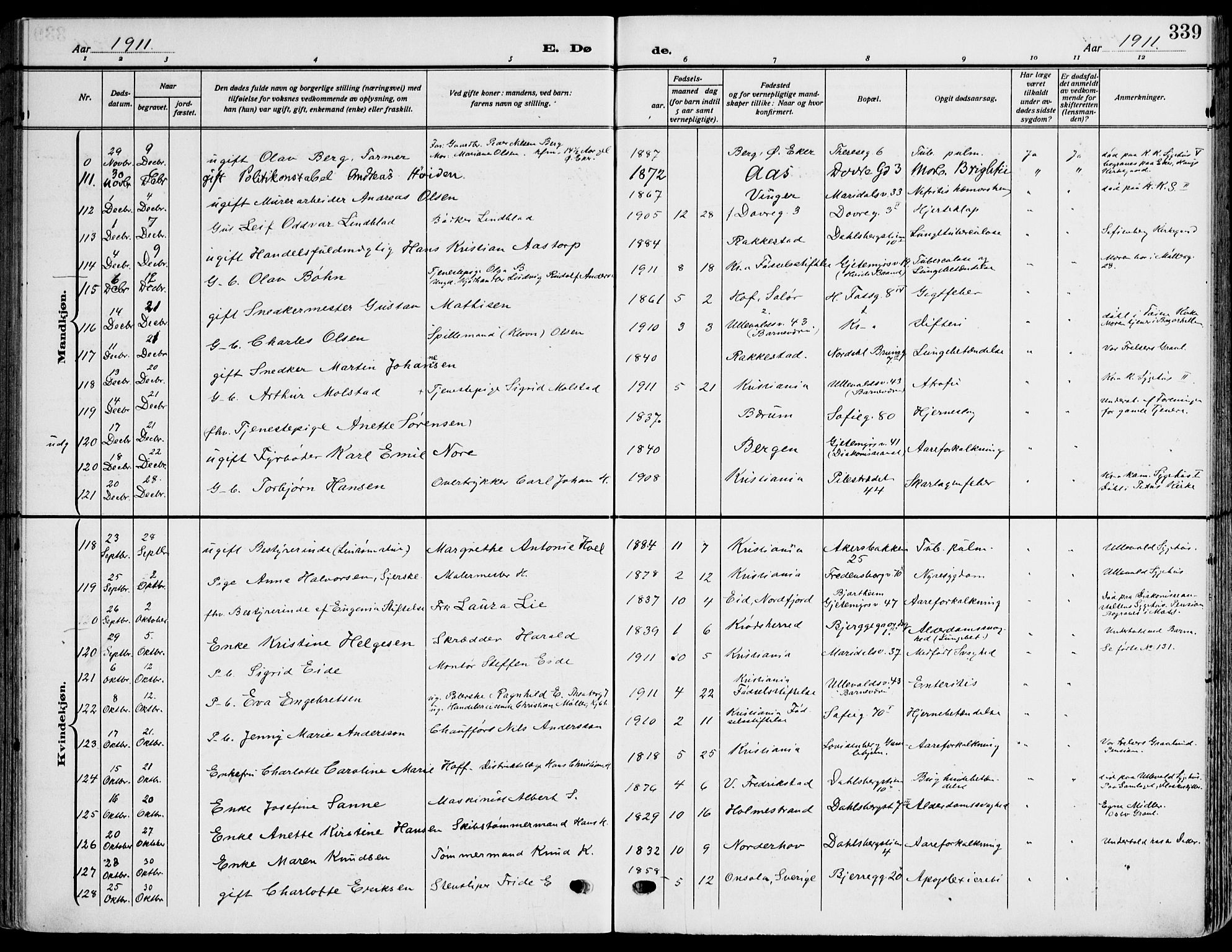 Gamle Aker prestekontor Kirkebøker, AV/SAO-A-10617a/F/L0014: Ministerialbok nr. 14, 1909-1924, s. 339