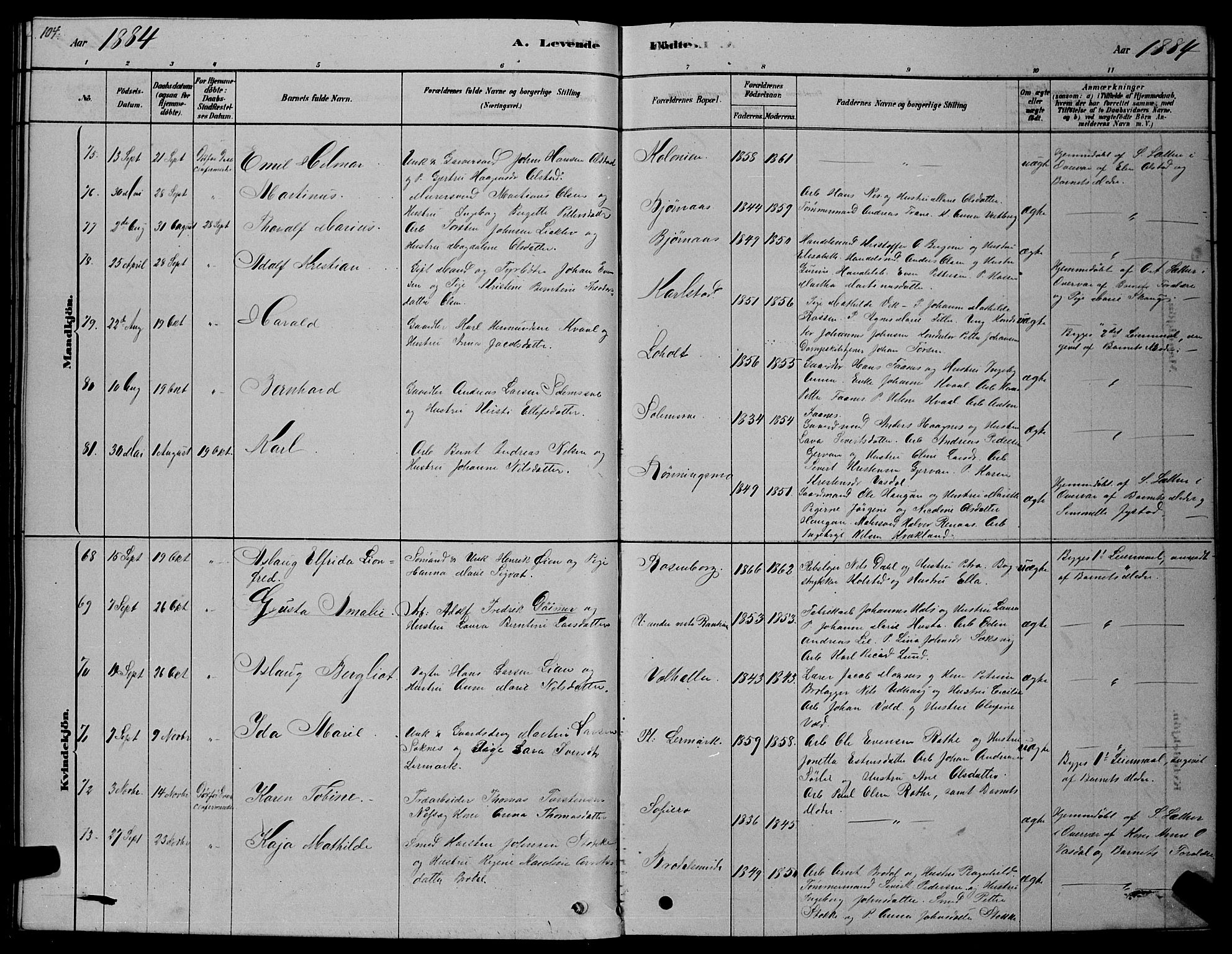 Ministerialprotokoller, klokkerbøker og fødselsregistre - Sør-Trøndelag, SAT/A-1456/606/L0312: Klokkerbok nr. 606C08, 1878-1894, s. 104