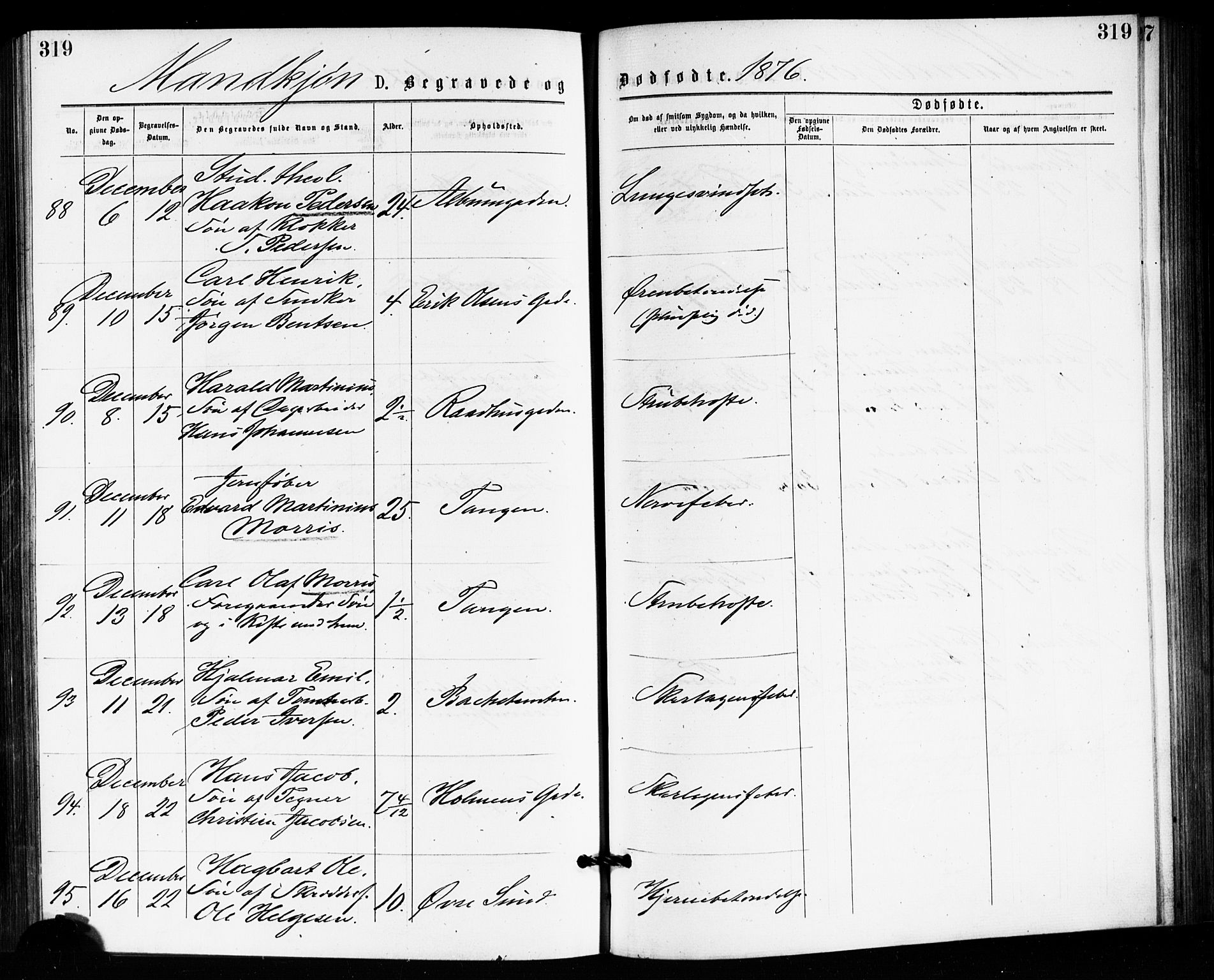 Bragernes kirkebøker, AV/SAKO-A-6/F/Fb/L0005: Ministerialbok nr. II 5, 1875-1877, s. 319