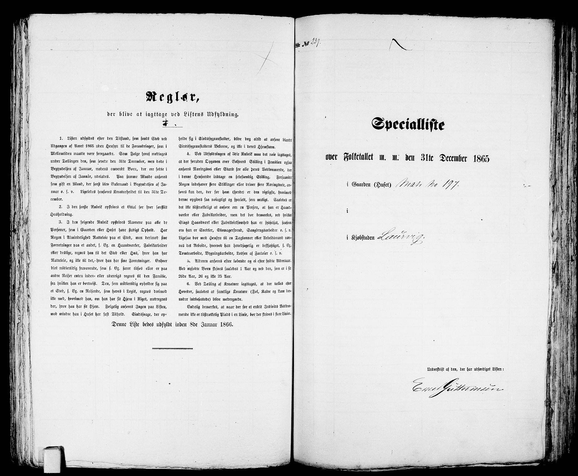 RA, Folketelling 1865 for 0707P Larvik prestegjeld, 1865, s. 496