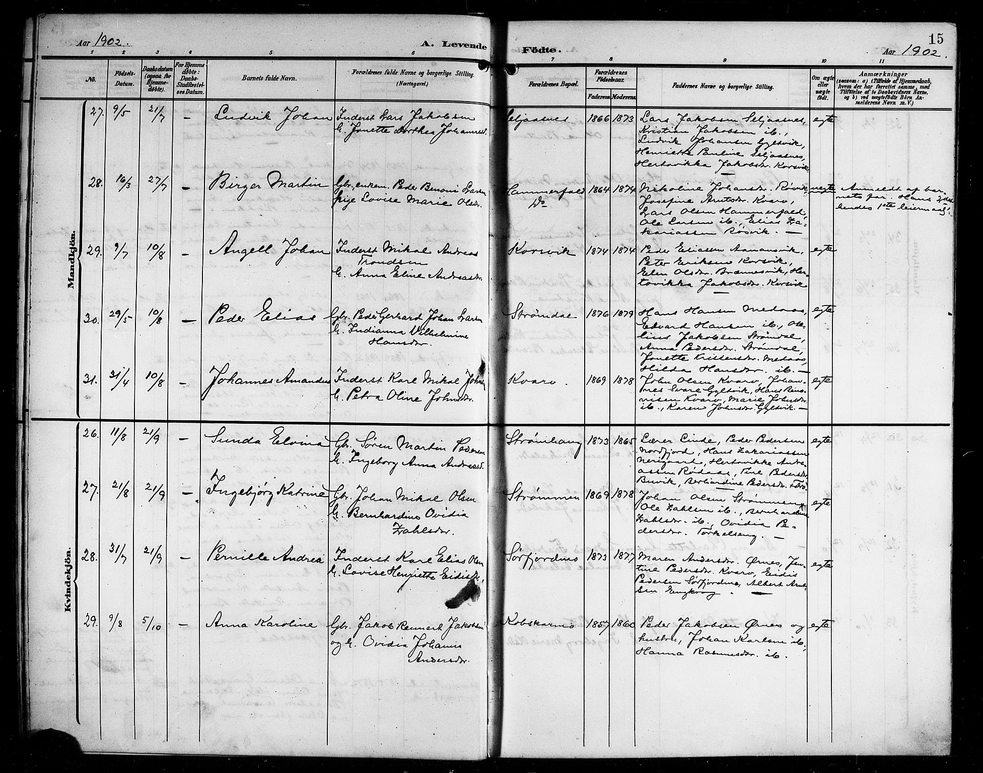 Ministerialprotokoller, klokkerbøker og fødselsregistre - Nordland, AV/SAT-A-1459/854/L0786: Klokkerbok nr. 854C02, 1901-1912, s. 15