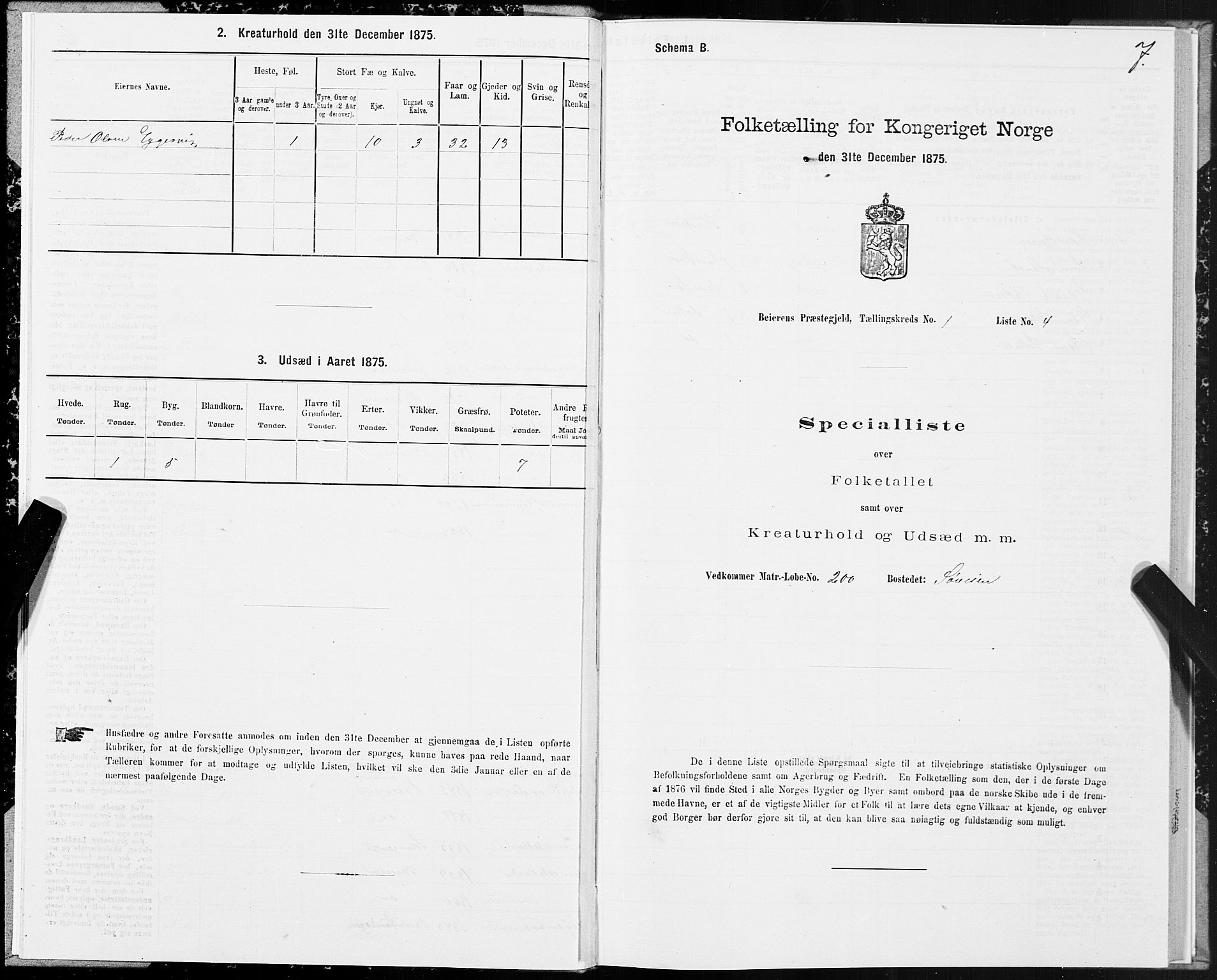 SAT, Folketelling 1875 for 1839P Beiarn prestegjeld, 1875, s. 1007