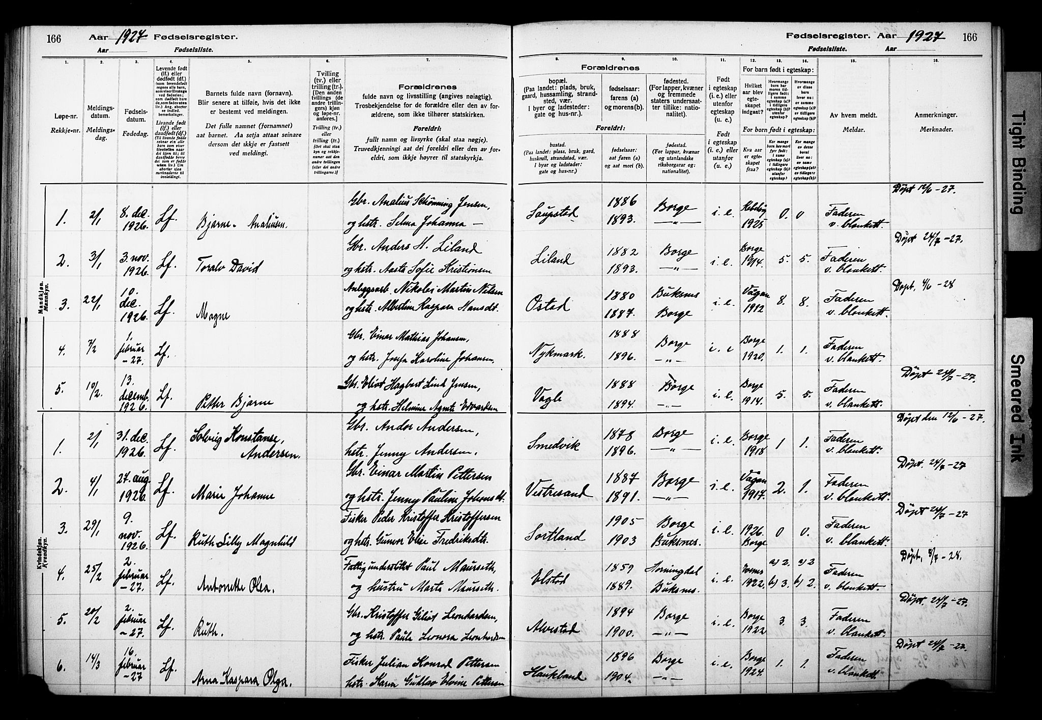 Ministerialprotokoller, klokkerbøker og fødselsregistre - Nordland, AV/SAT-A-1459/880/L1145: Fødselsregister nr. 880.II.4.1, 1916-1929, s. 166