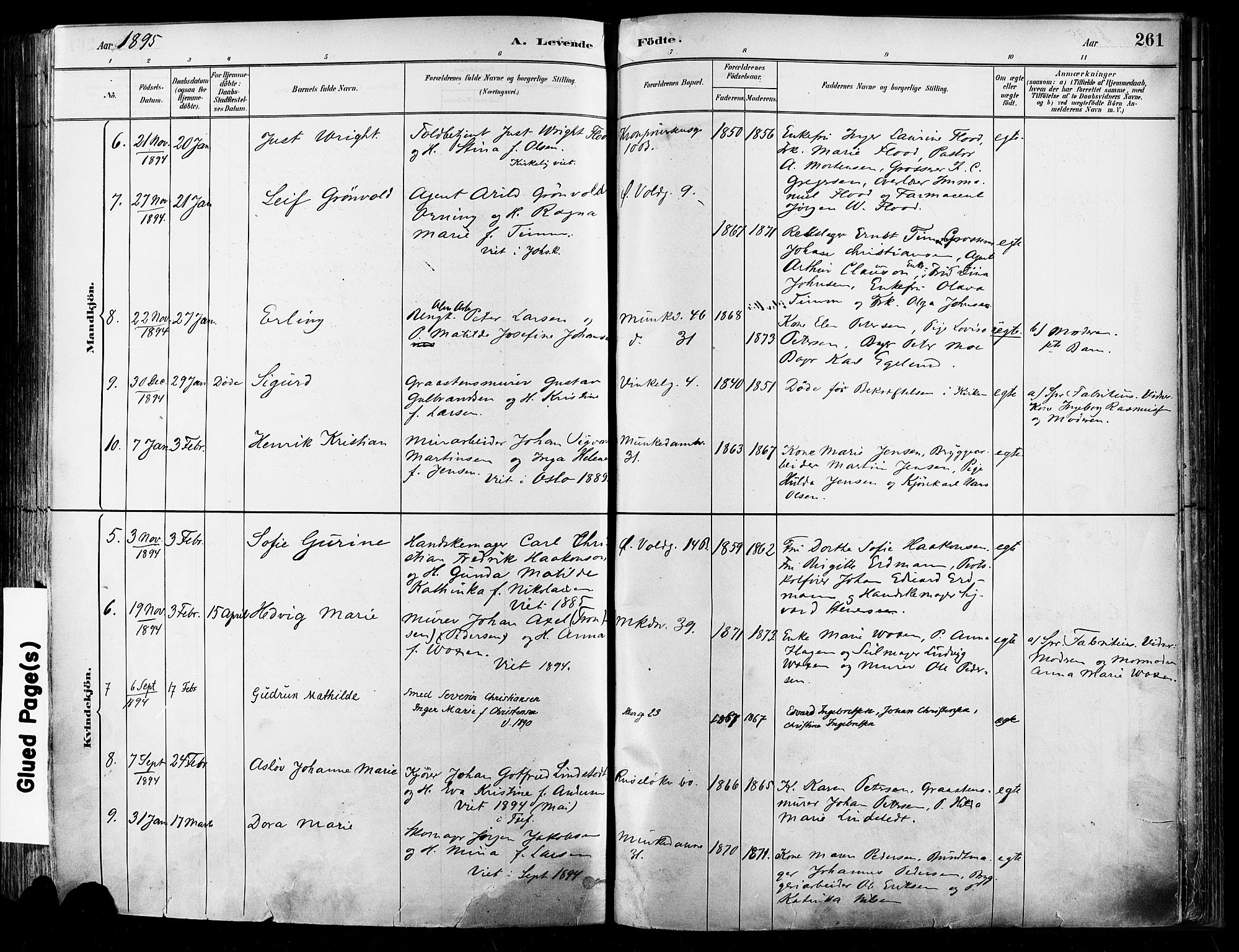 Johannes prestekontor Kirkebøker, AV/SAO-A-10852/F/Fa/L0003: Ministerialbok nr. 3, 1882-1896, s. 261