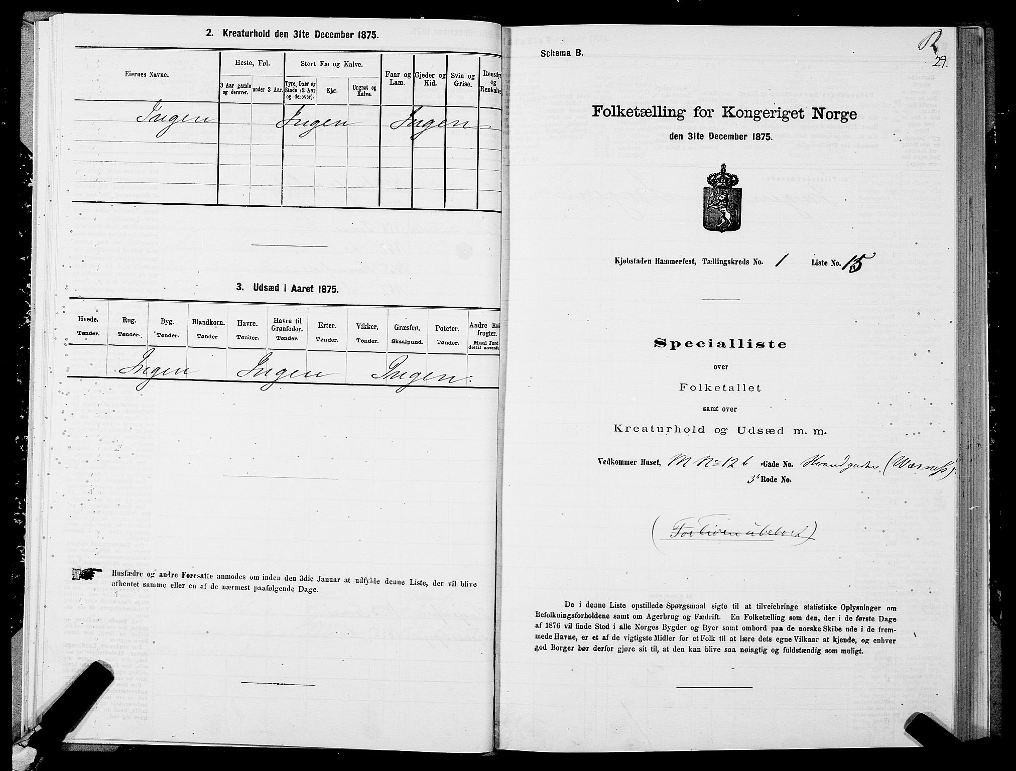 SATØ, Folketelling 1875 for 2001B Hammerfest prestegjeld, Hammerfest kjøpstad, 1875, s. 1029