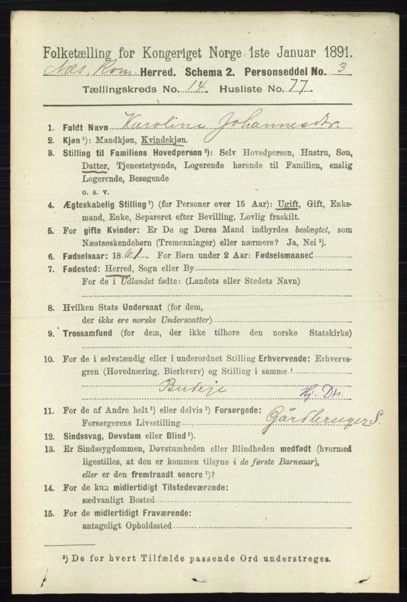 RA, Folketelling 1891 for 0236 Nes herred, 1891, s. 8910