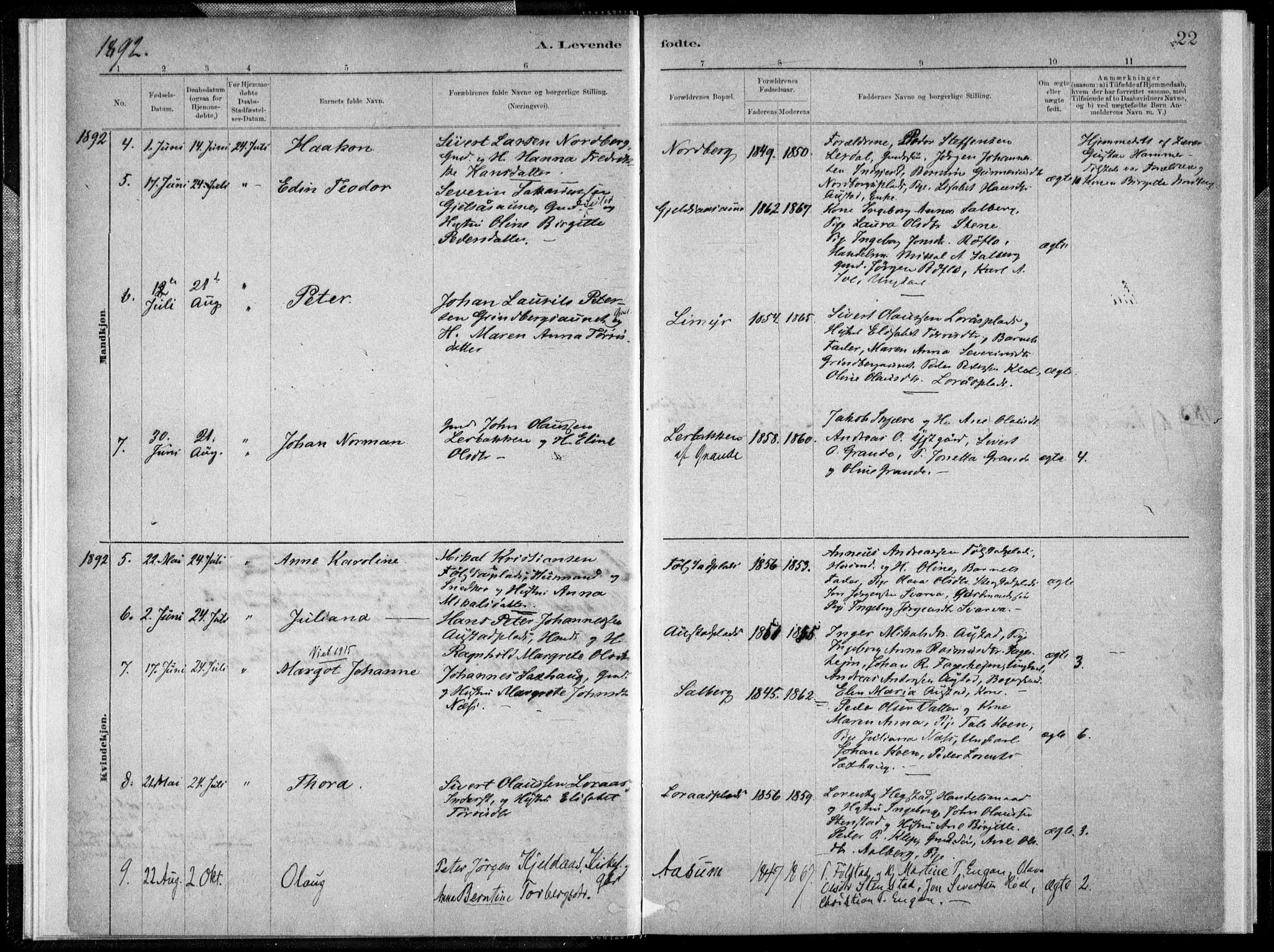 Ministerialprotokoller, klokkerbøker og fødselsregistre - Nord-Trøndelag, SAT/A-1458/731/L0309: Ministerialbok nr. 731A01, 1879-1918, s. 22