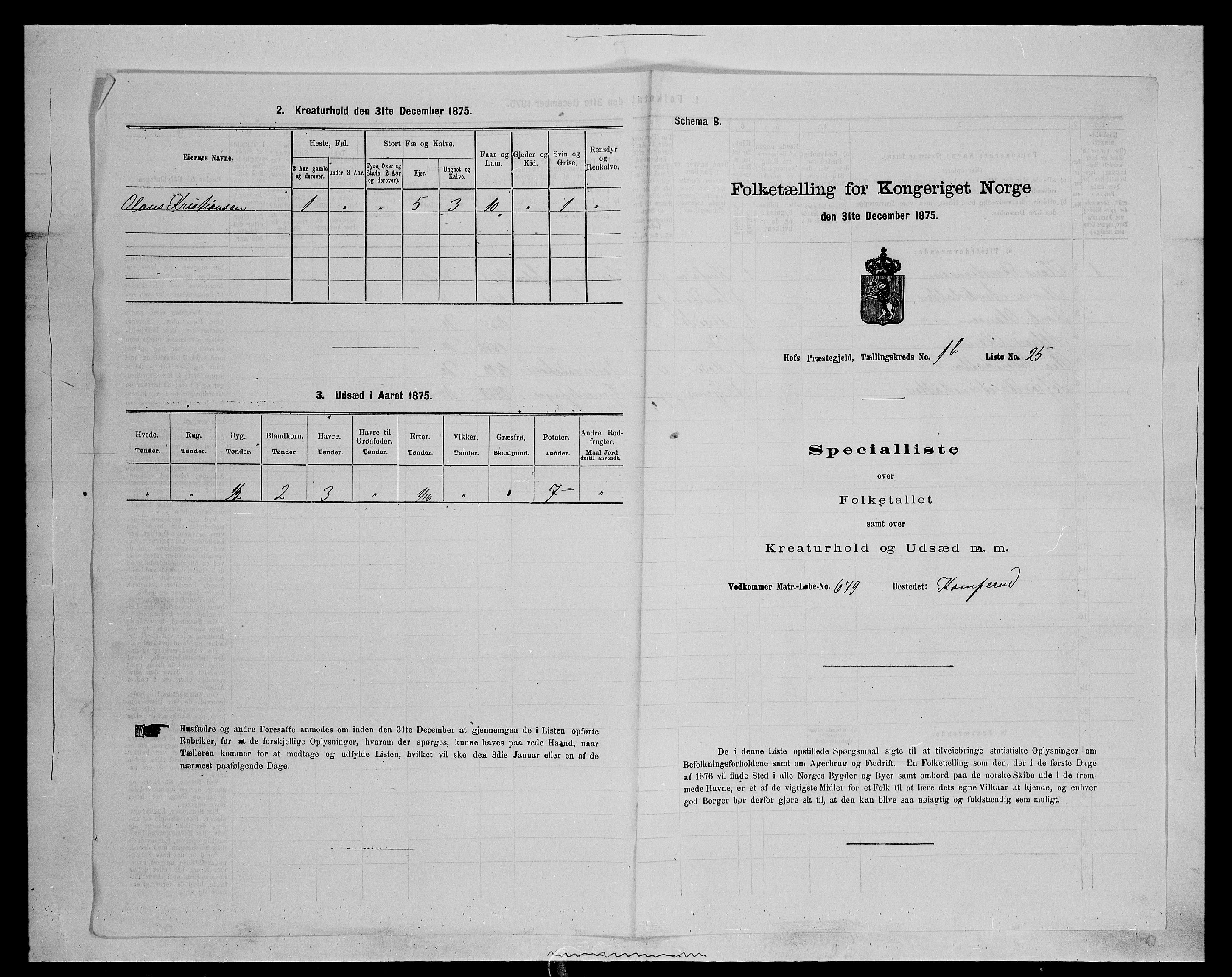 SAH, Folketelling 1875 for 0424P Hof prestegjeld, 1875, s. 229