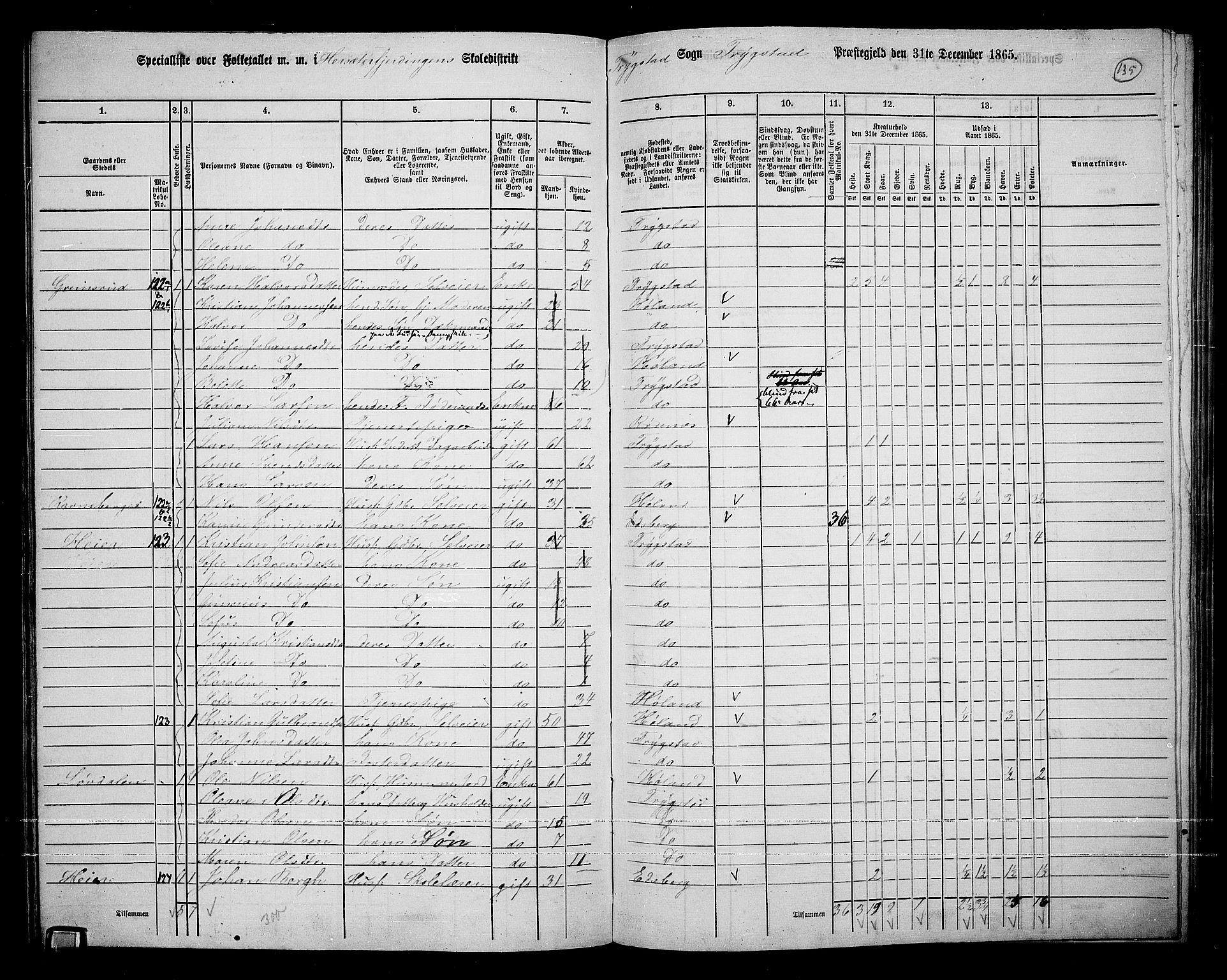 RA, Folketelling 1865 for 0122P Trøgstad prestegjeld, 1865, s. 119