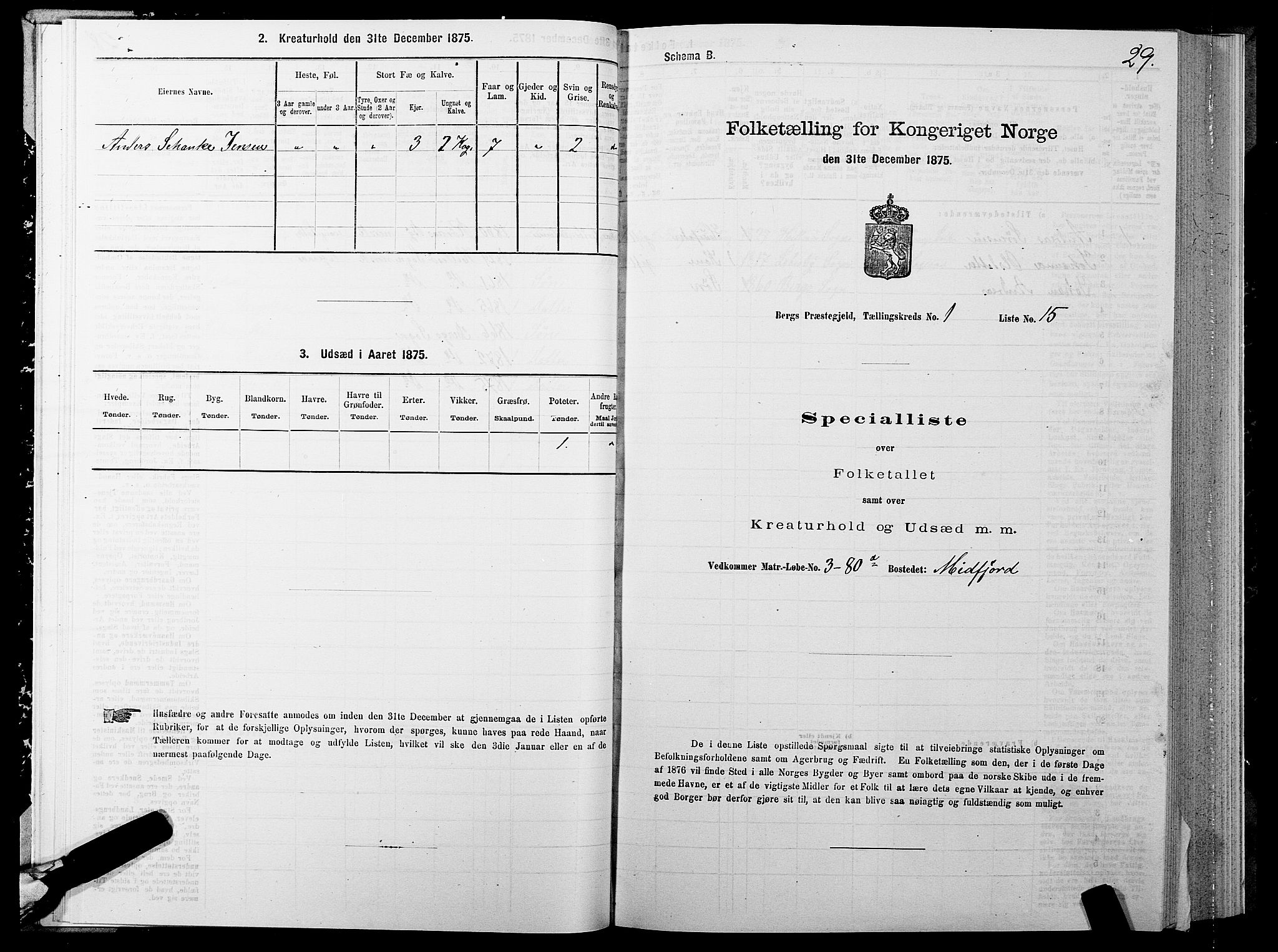 SATØ, Folketelling 1875 for 1929P Berg prestegjeld, 1875, s. 1029