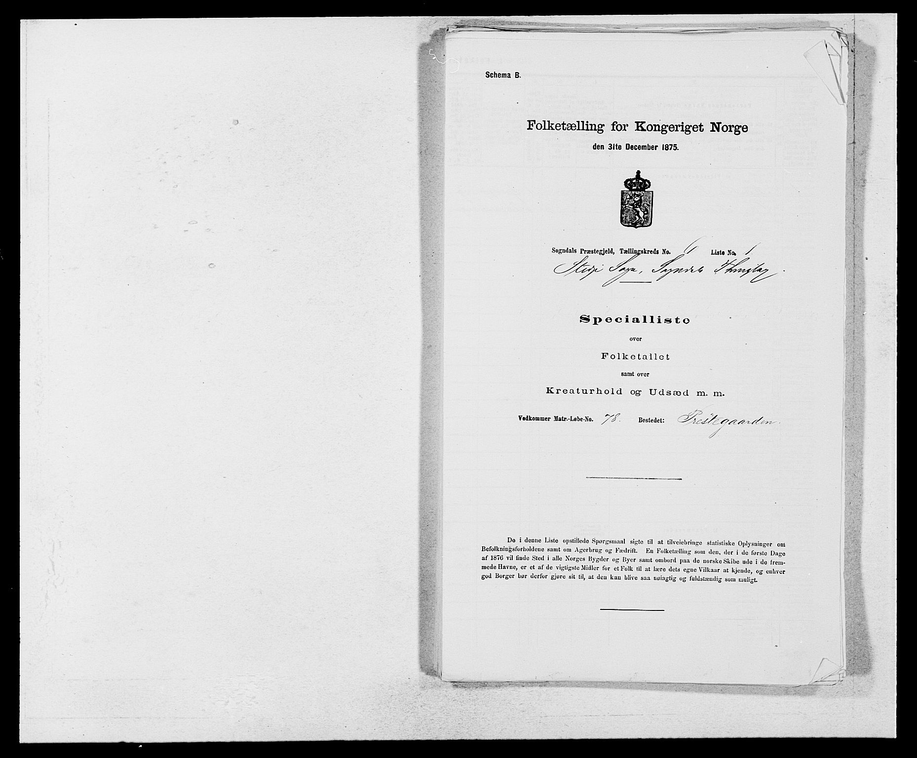 SAB, Folketelling 1875 for 1420P Sogndal prestegjeld, 1875, s. 596