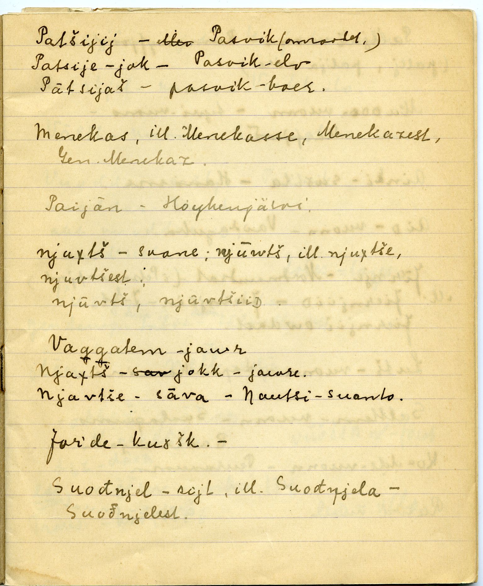 Johan Beronkas testamentariske gave, FMFB/A-1098/G/L0019: Notatbok om Pasvik–lappisk (4 stykker), 1928-1929, s. 42