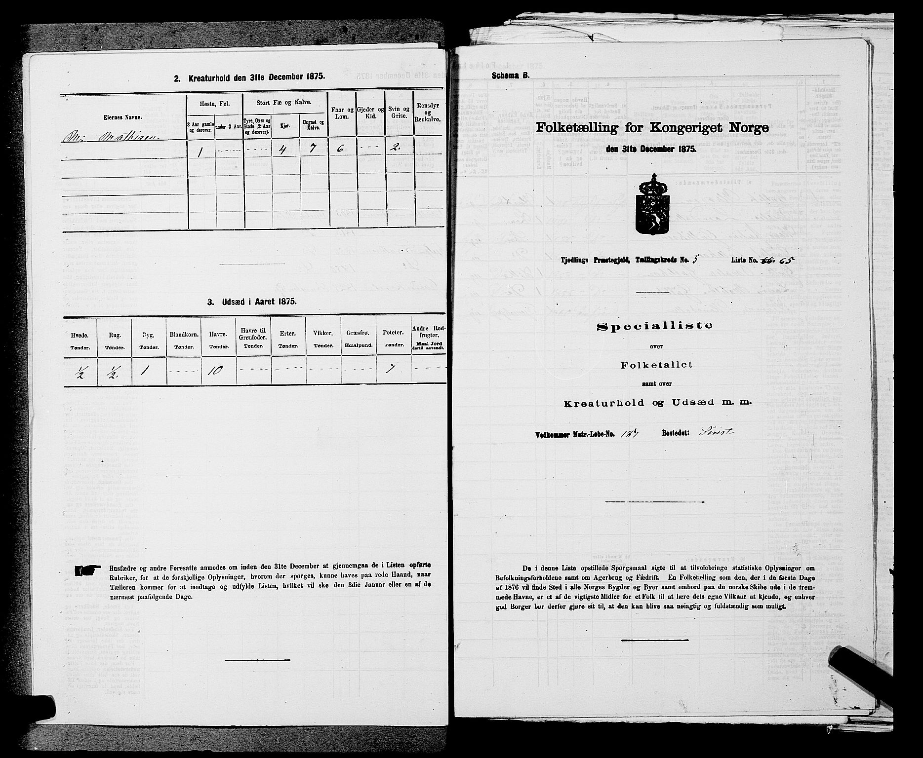 SAKO, Folketelling 1875 for 0725P Tjølling prestegjeld, 1875, s. 1023