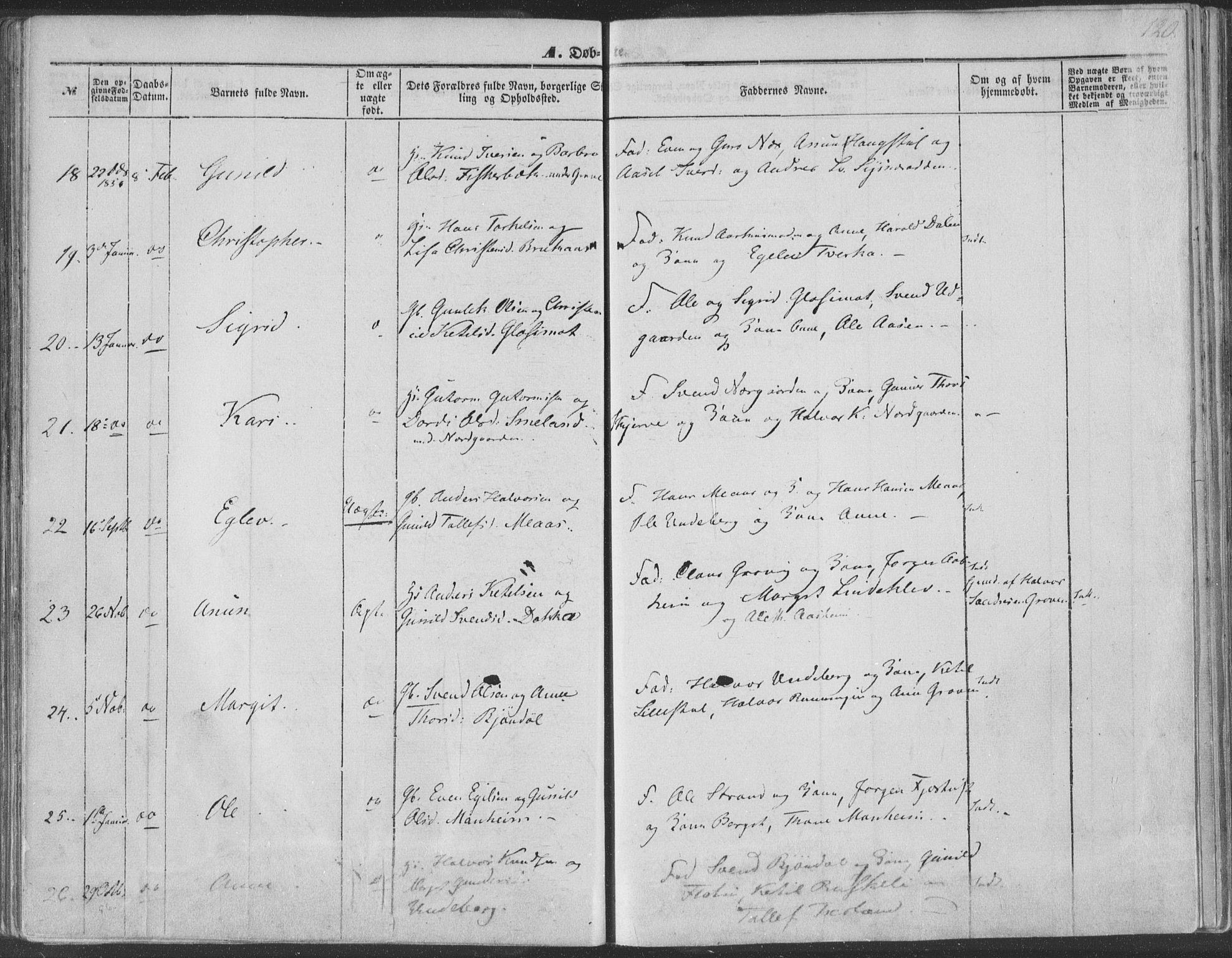 Seljord kirkebøker, AV/SAKO-A-20/F/Fa/L012a: Ministerialbok nr. I 12A, 1850-1865, s. 120