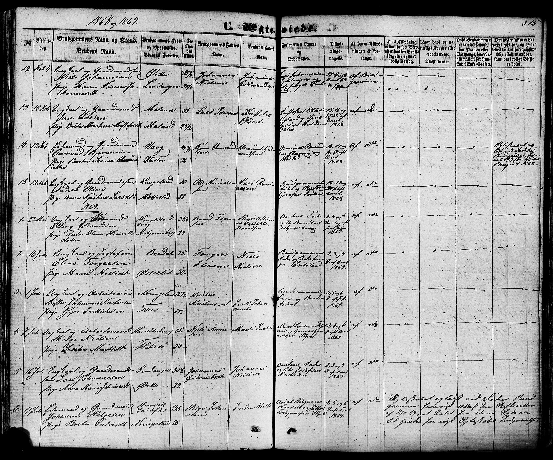 Skjold sokneprestkontor, SAST/A-101847/H/Ha/Haa/L0008: Ministerialbok nr. A 8, 1856-1882, s. 315